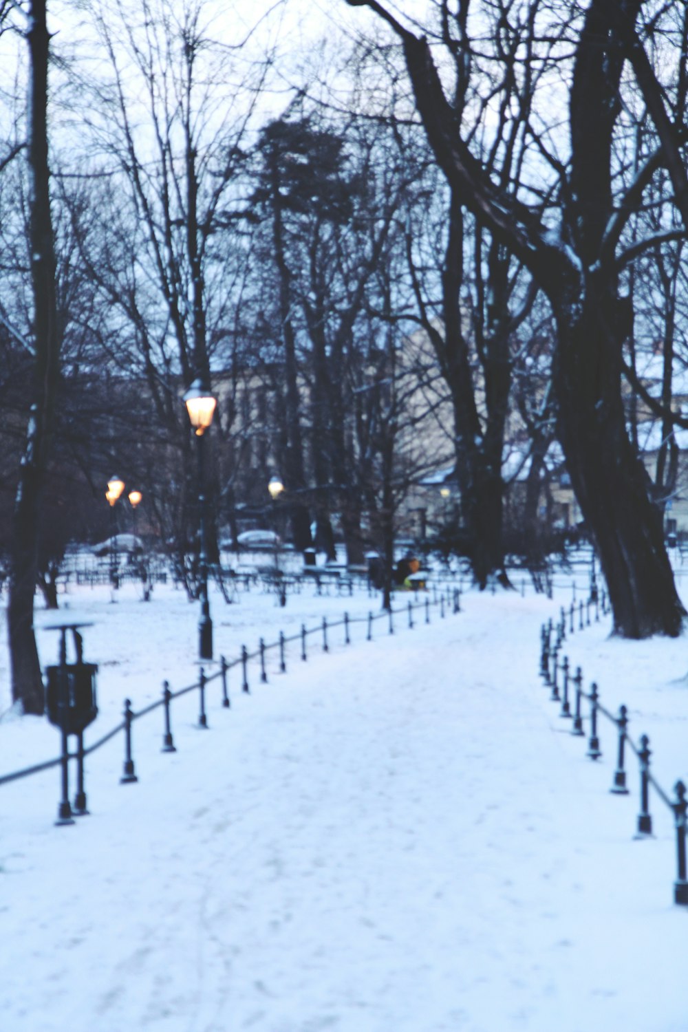 snow covered field with trees during daytime