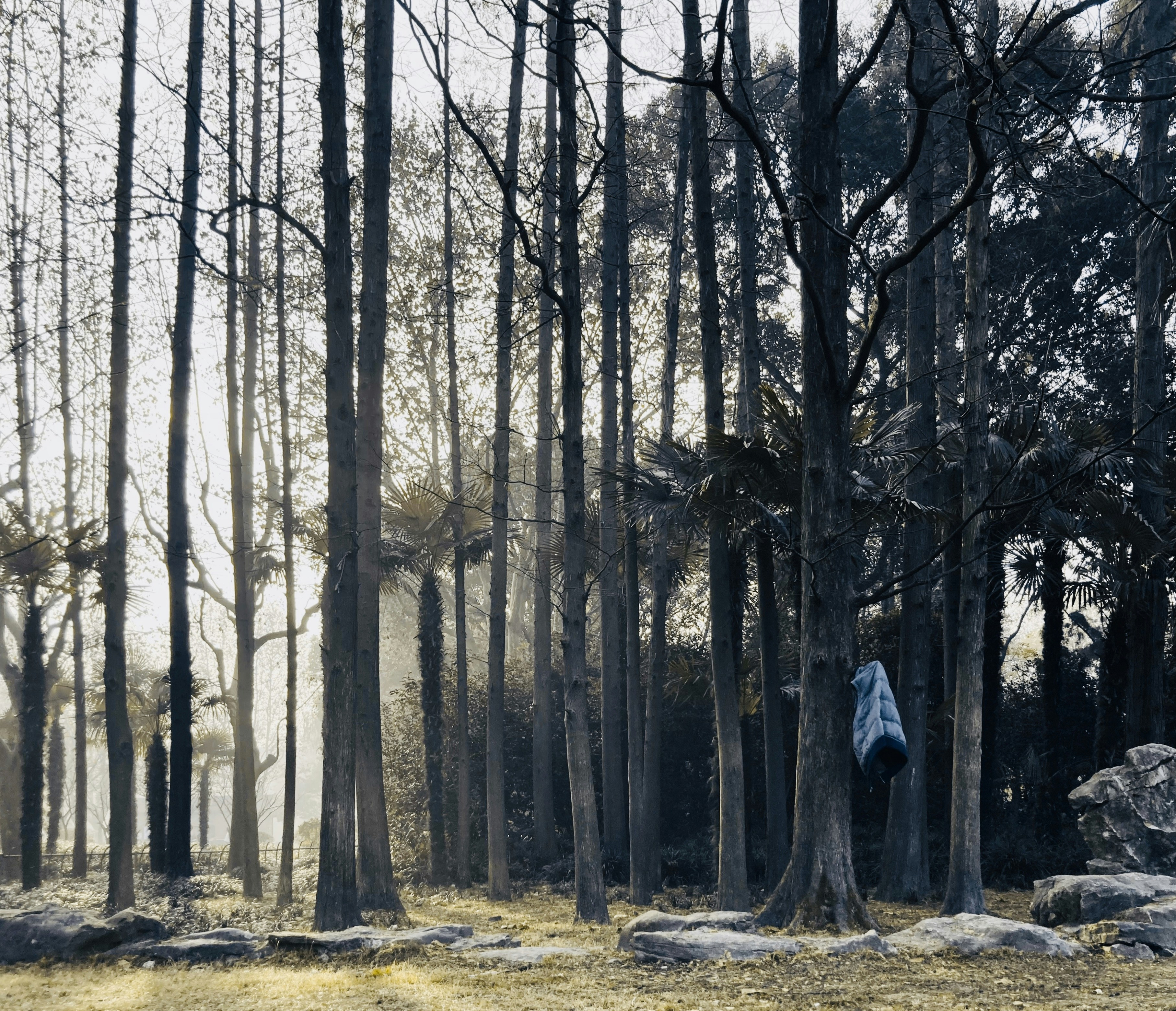 Trailblazer Work Jacket