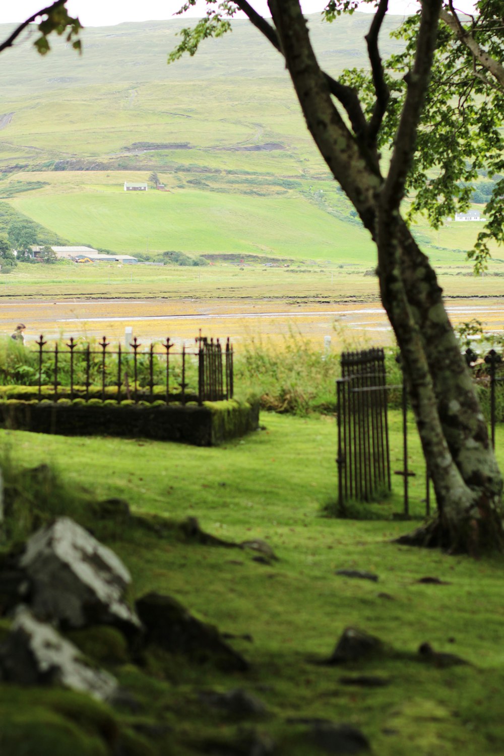 green grass field with fence and trees during daytime