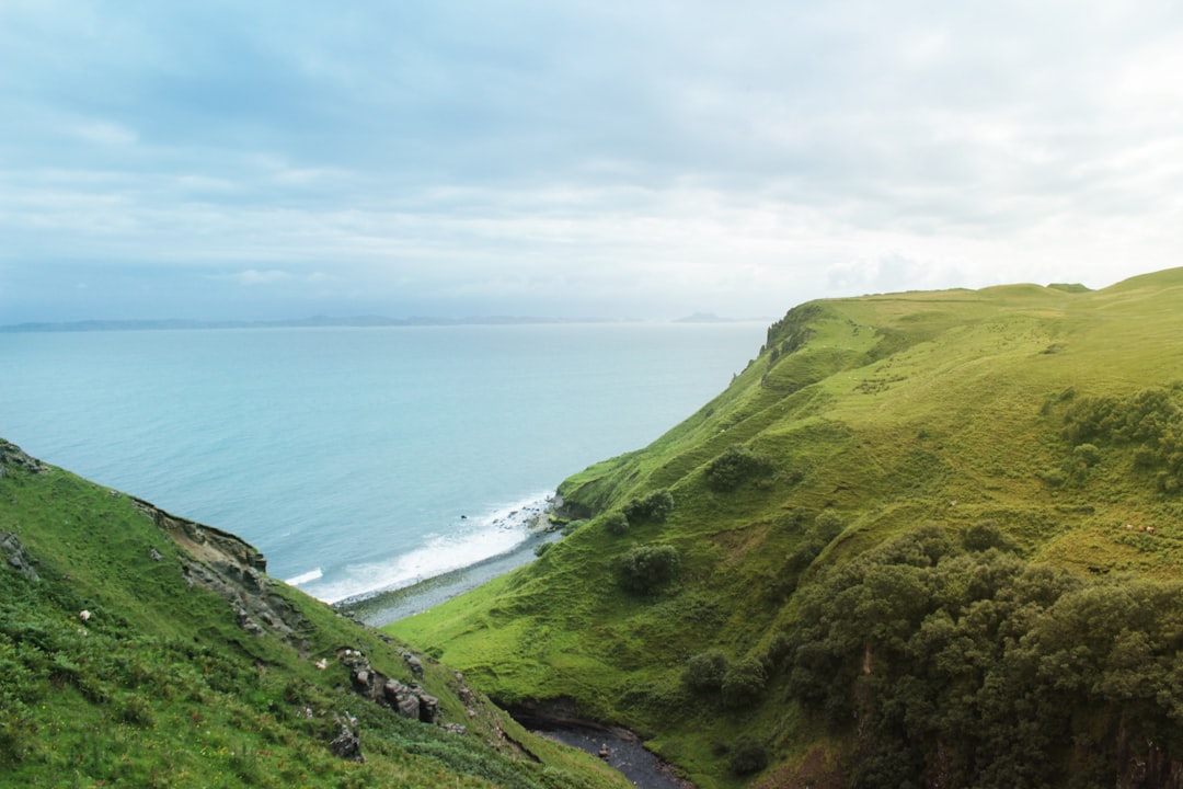 green grass covered mountain near body of water during daytime