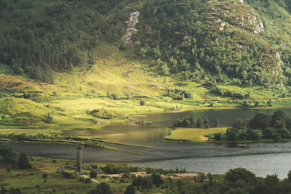 green trees near lake during daytime