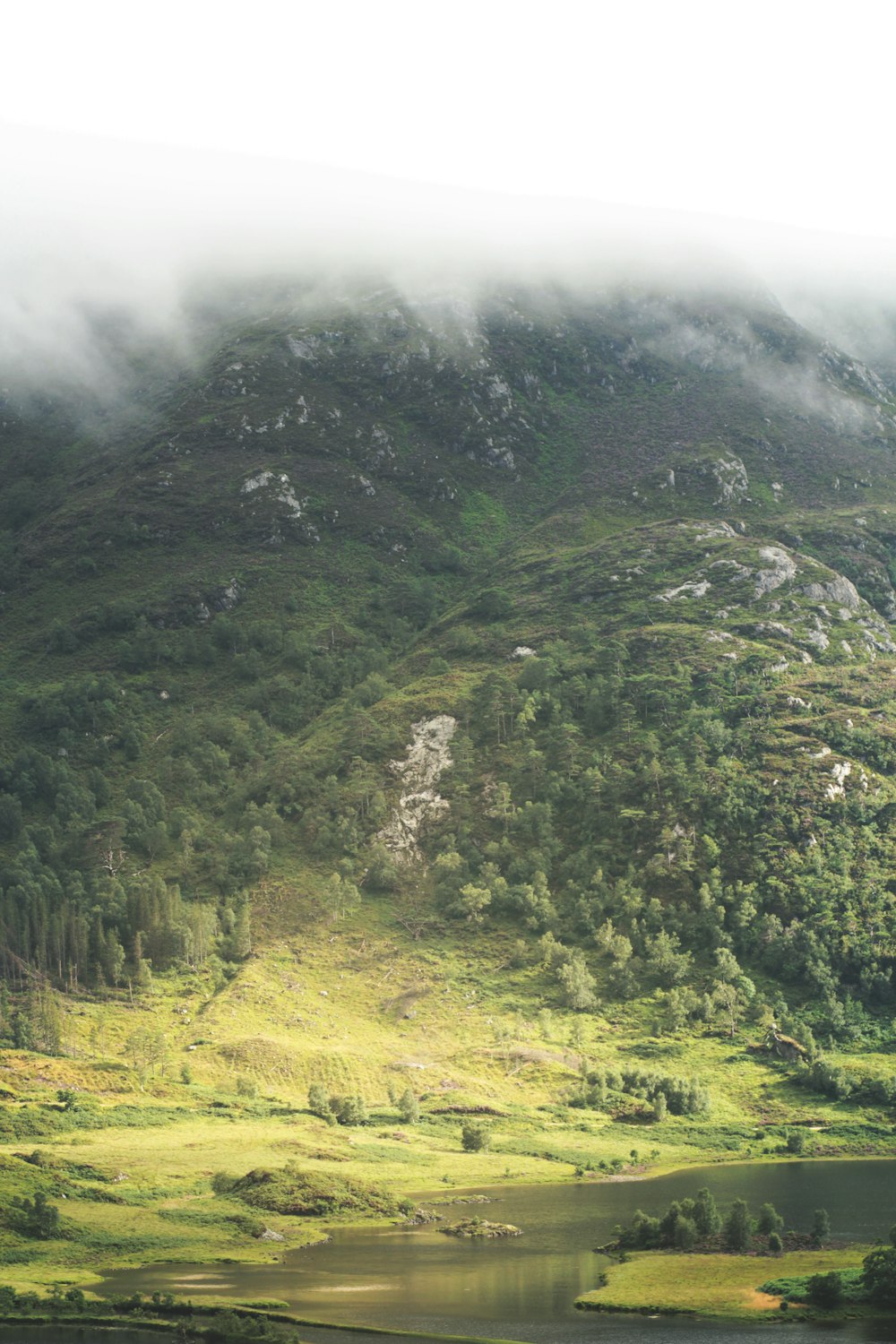 green trees on mountain during daytime