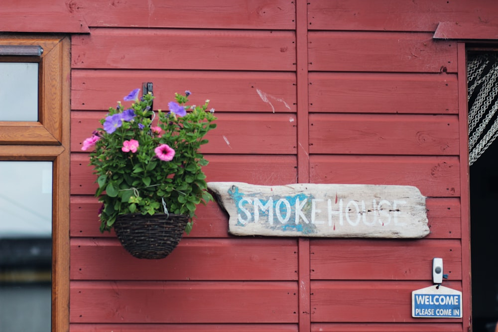 fleurs rouges et roses sur mur en bois brun