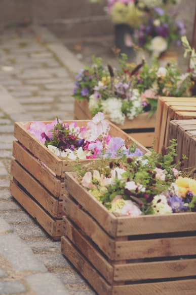 flowers in a box ideas