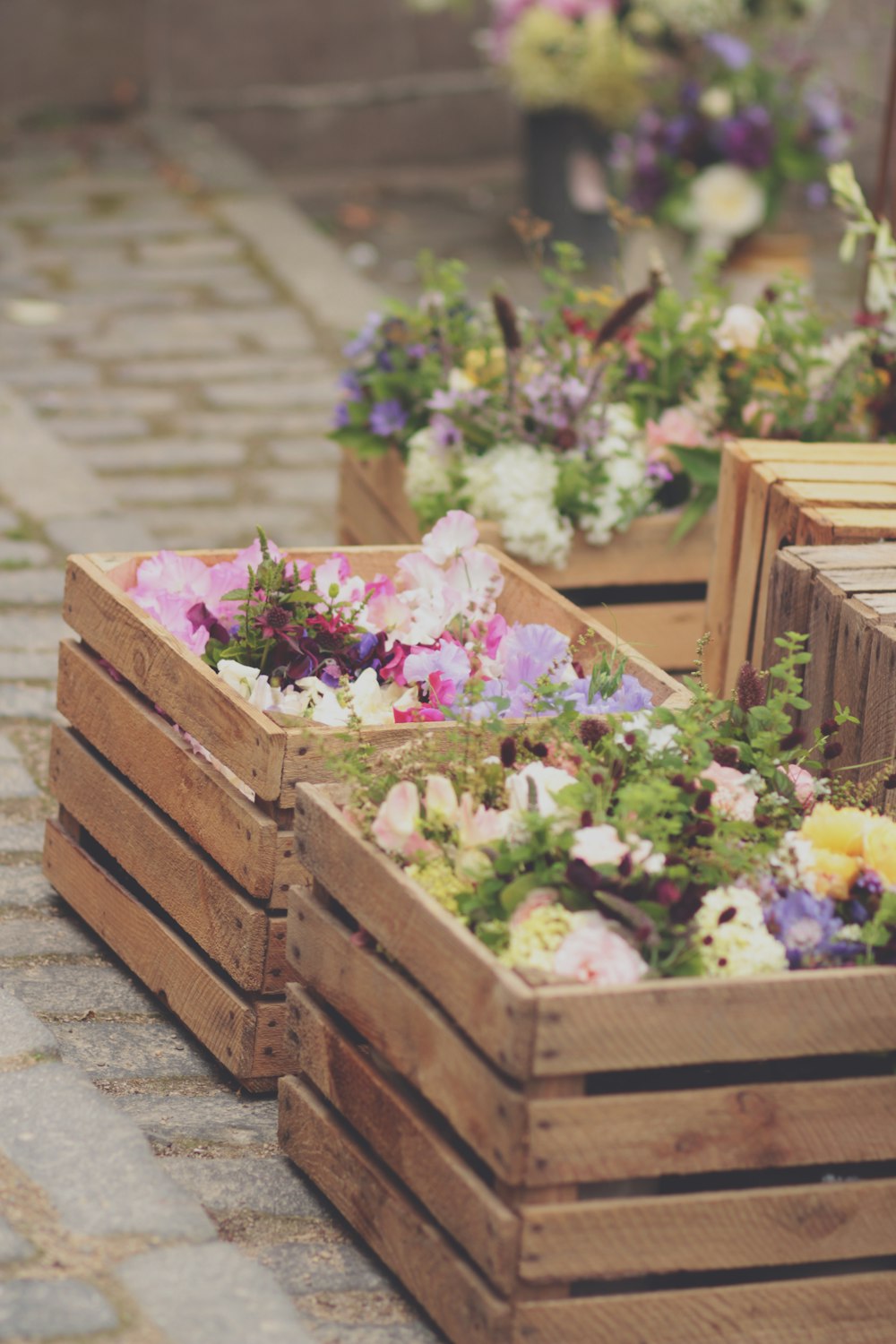 pink and white flowers on brown wooden crate