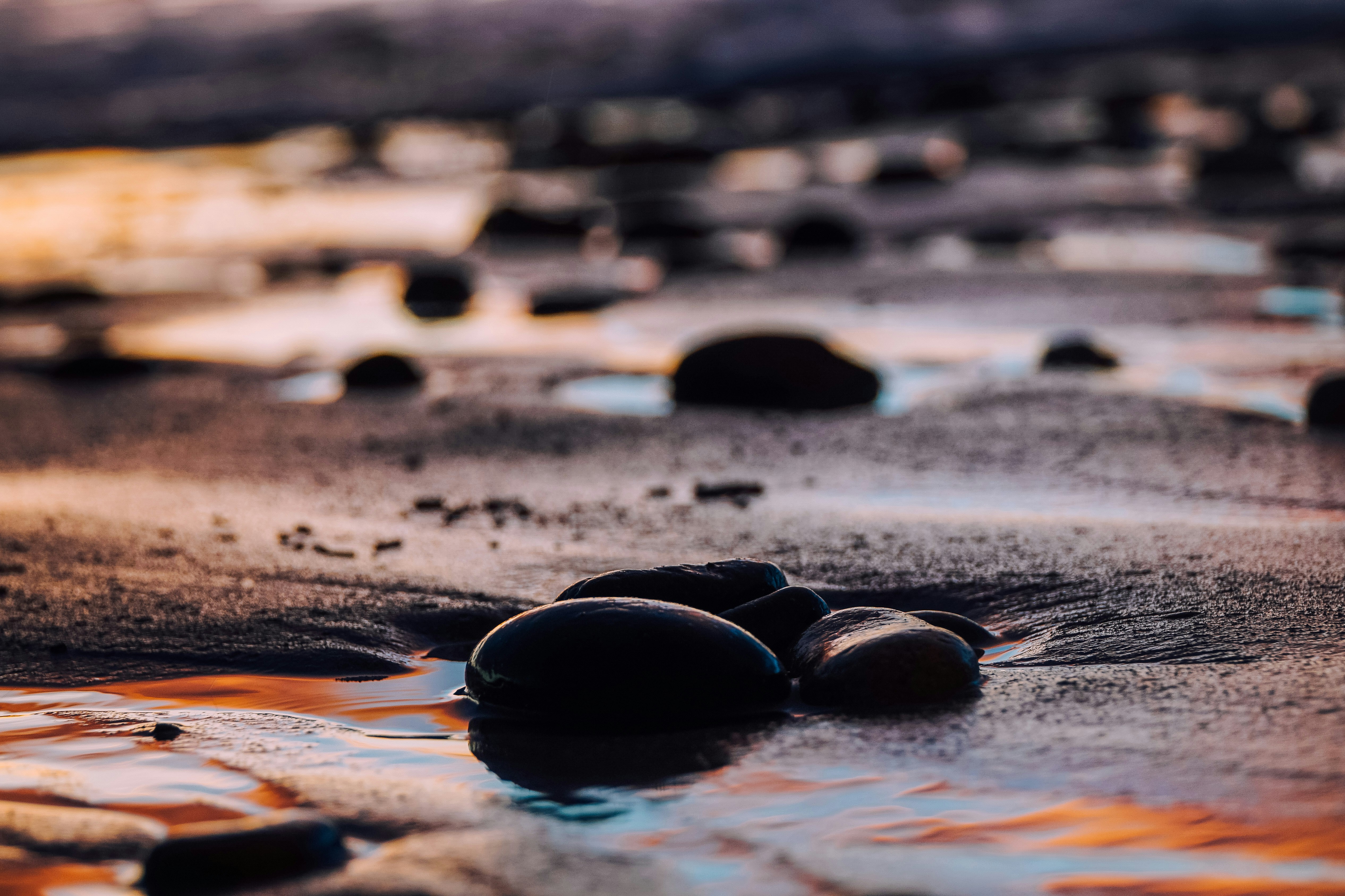 Photo by jacobus_nieuwoudt