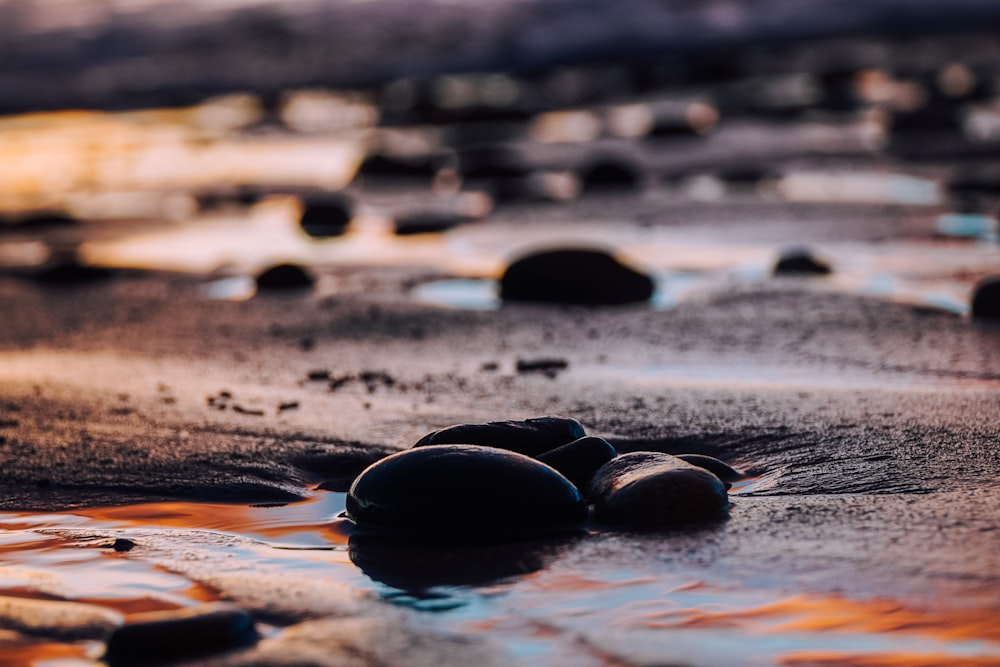 black stones on water during daytime