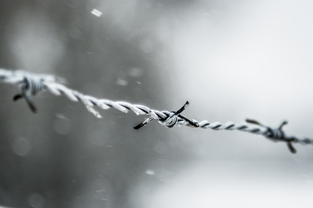 grayscale photo of a water drop on a wire