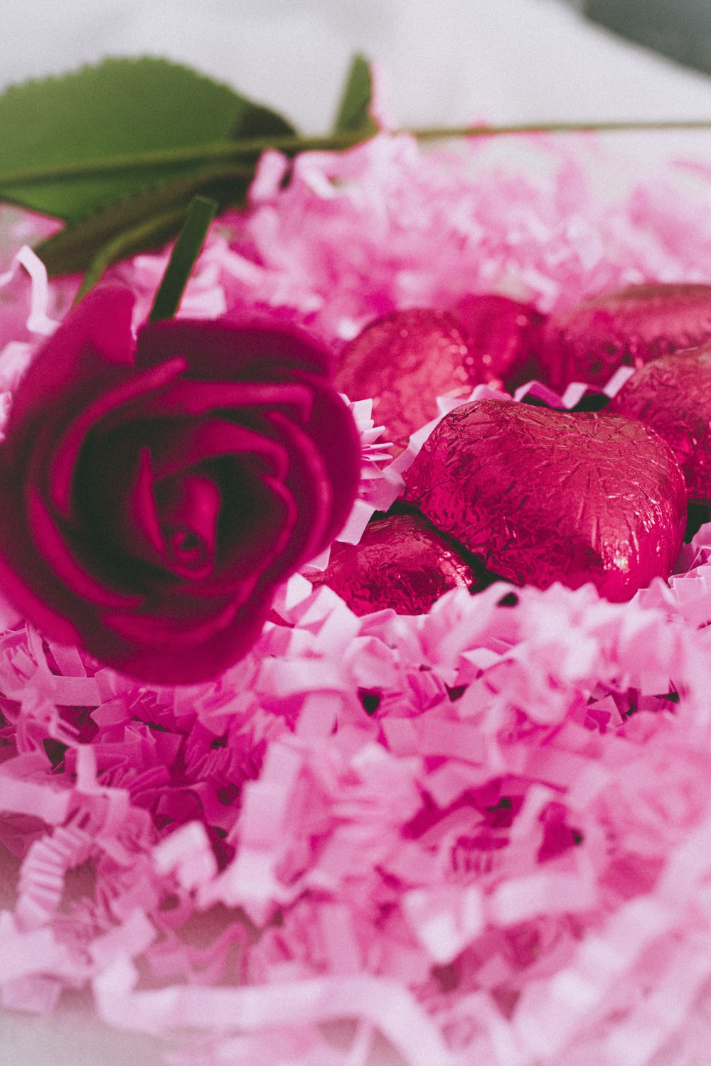 red roses on white and pink textile