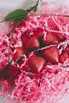 red and white petals on white and pink floral textile