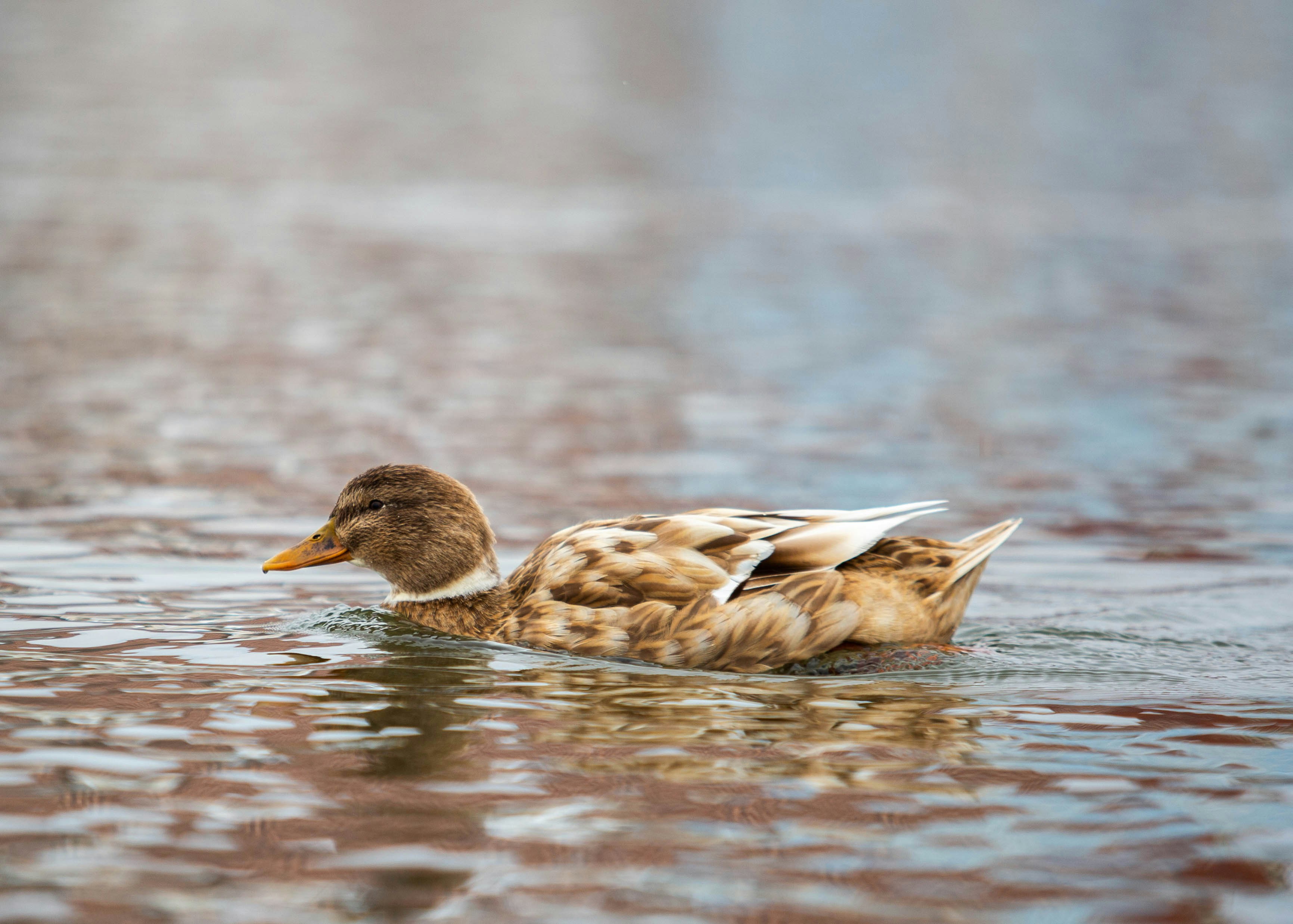 Photo by theshuttervision