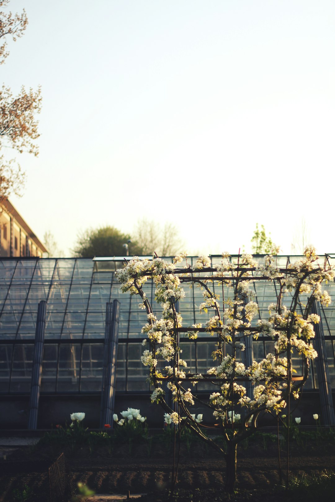 yellow flowers on black metal frame