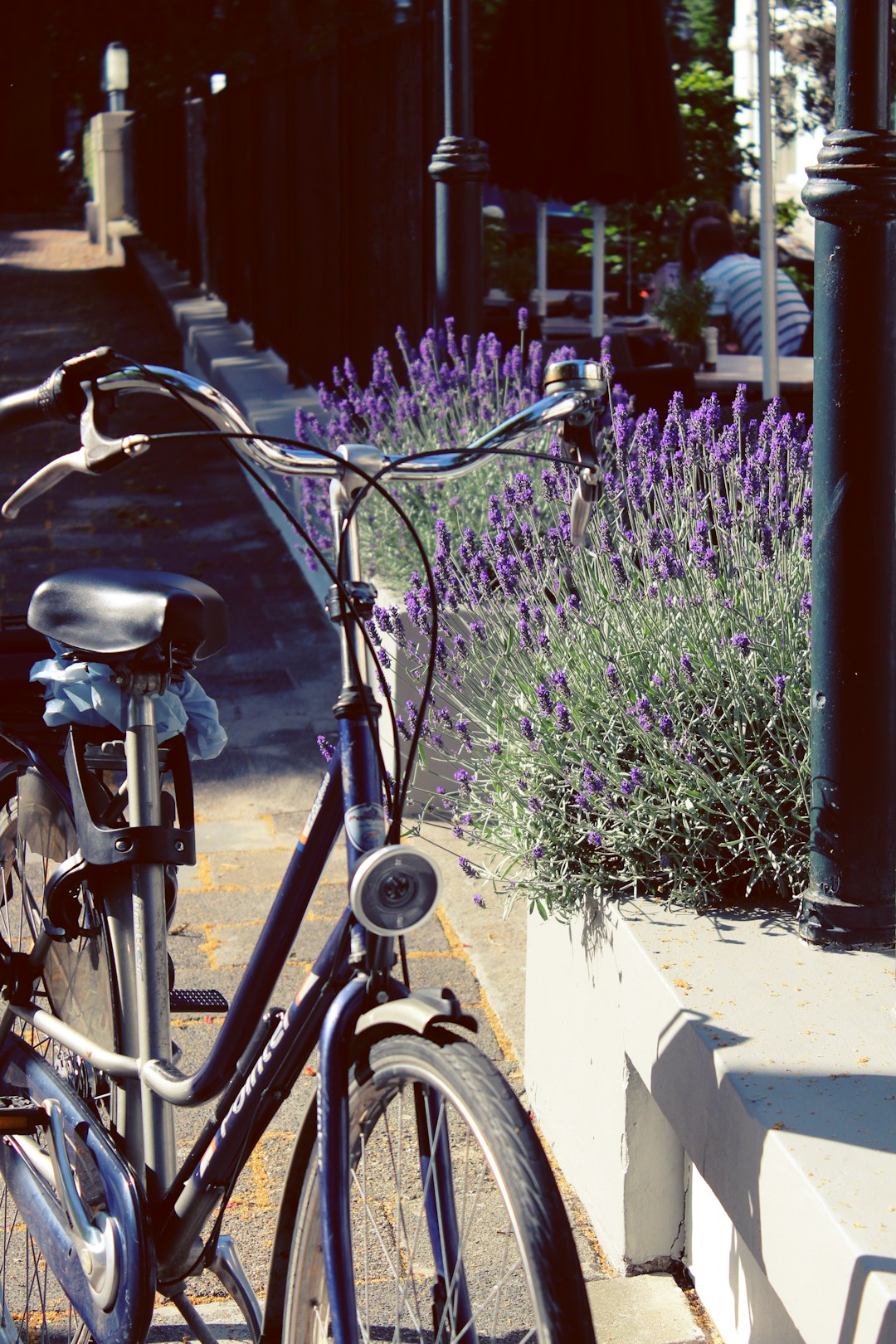 brown city bike parked beside green plants during daytime