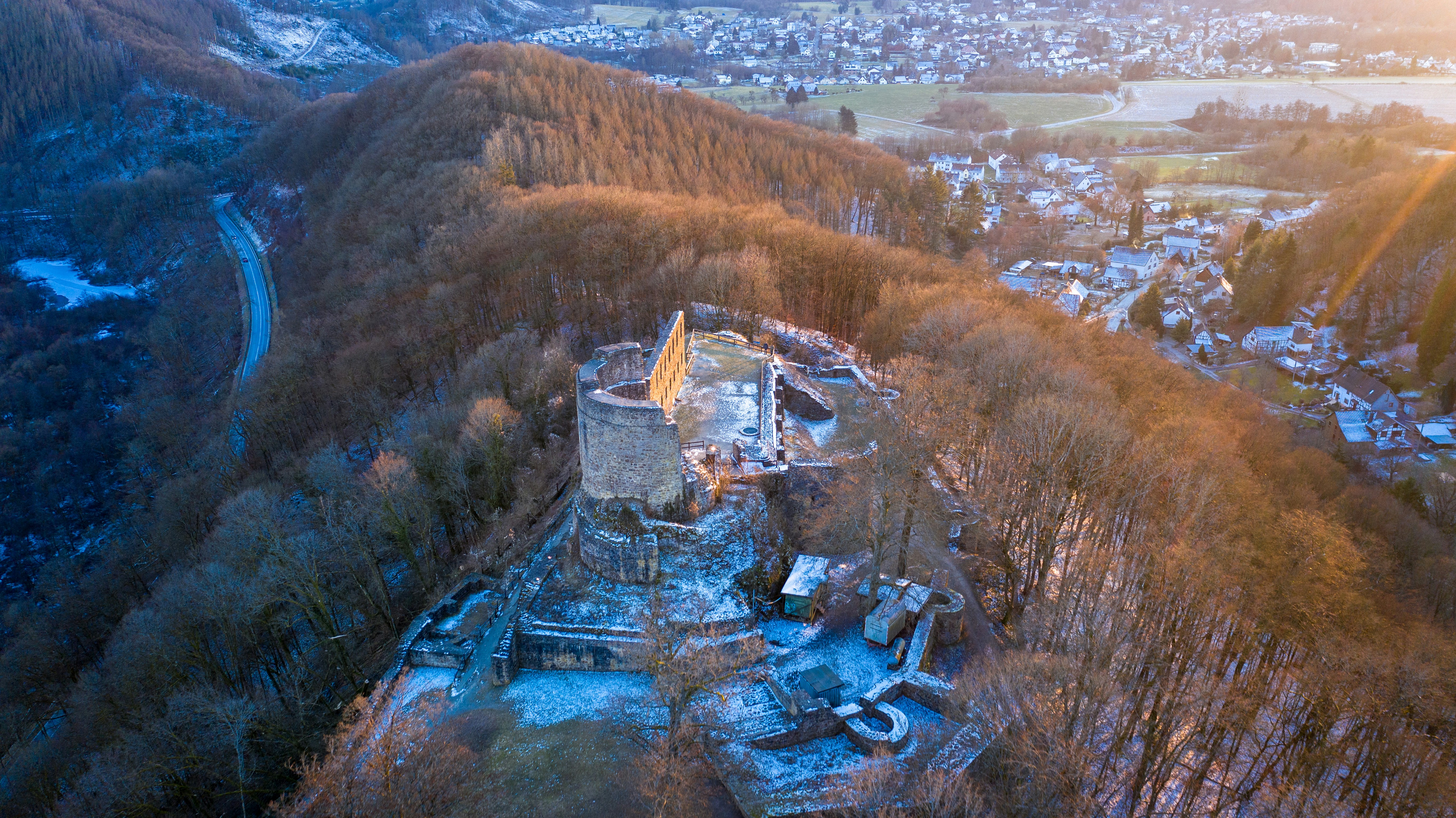brown and green trees near body of water during daytime