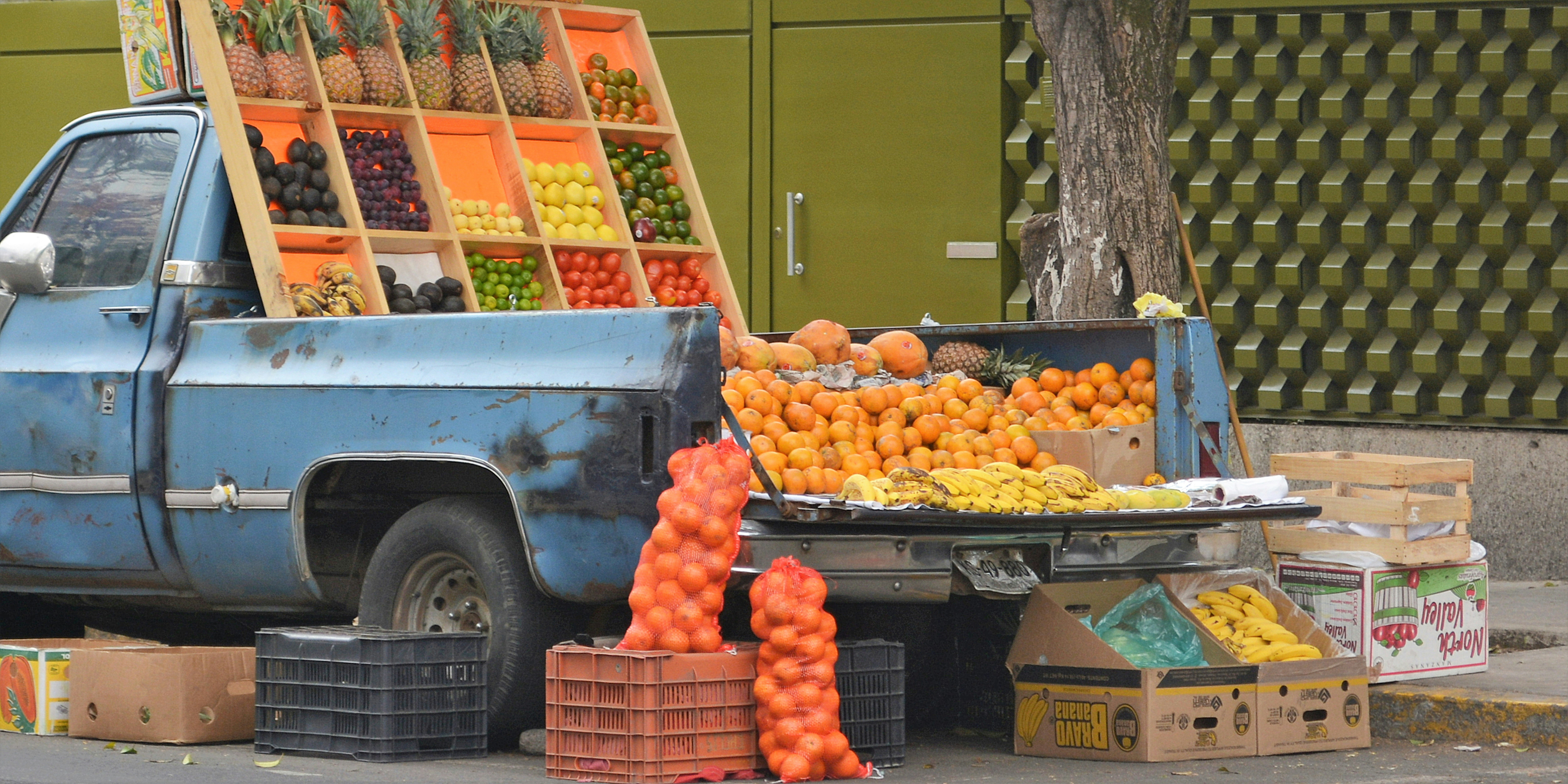 orange fruits on brown wooden crate, 