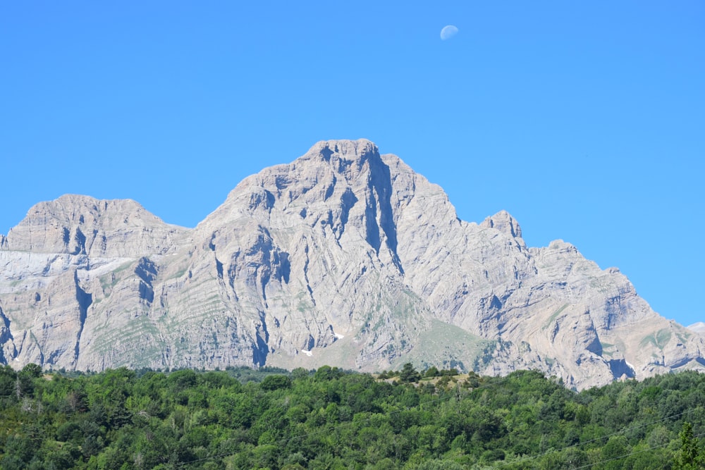 green trees near gray rocky mountain under blue sky during daytime