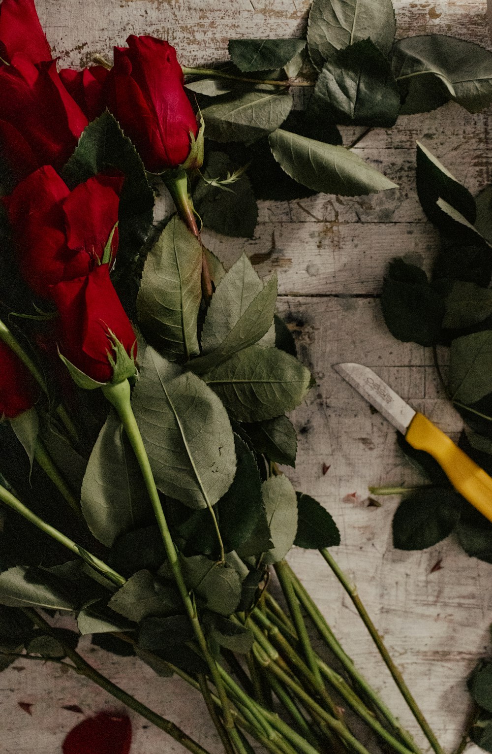 red rose on gray wooden surface