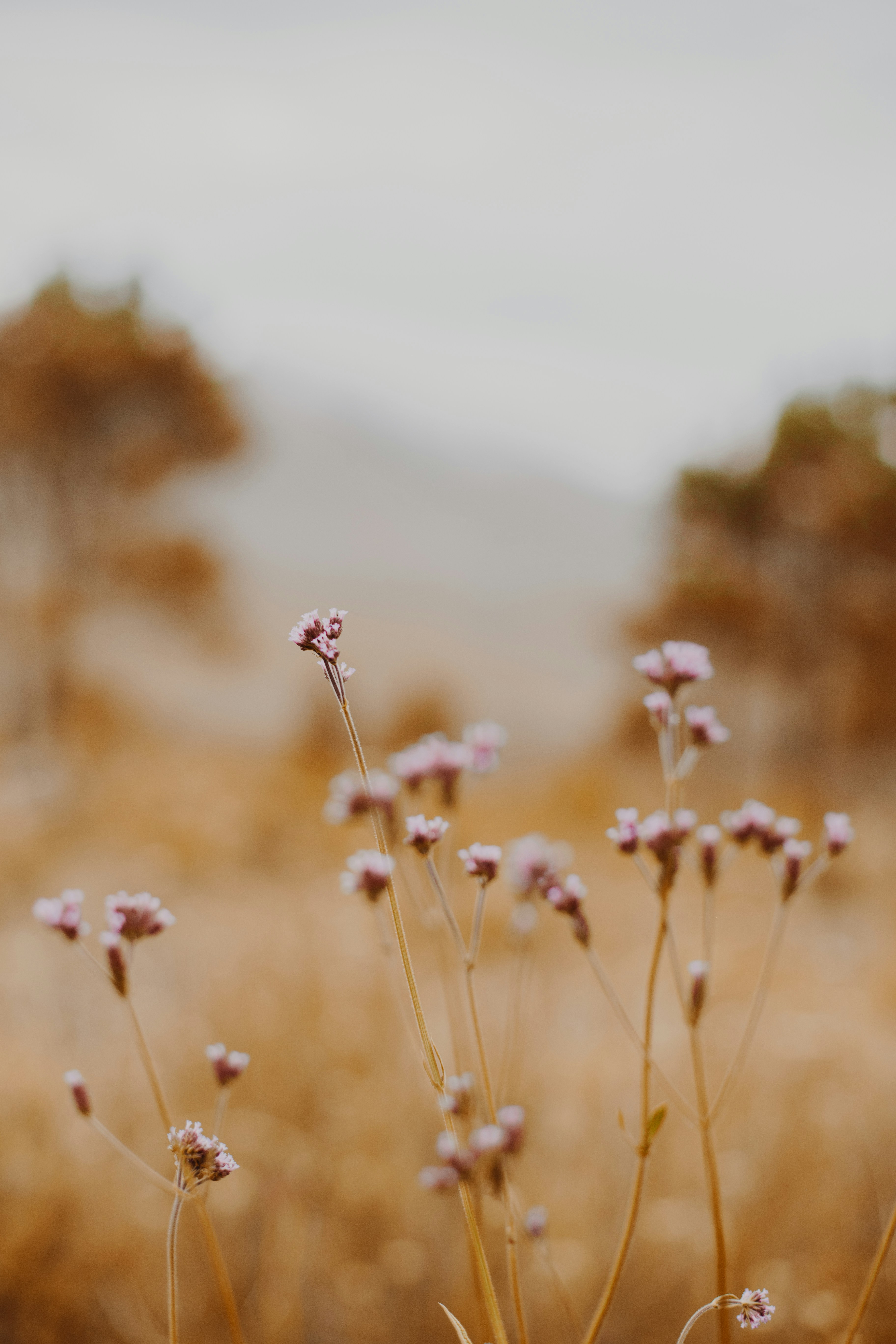 Photo by sincerelymedia