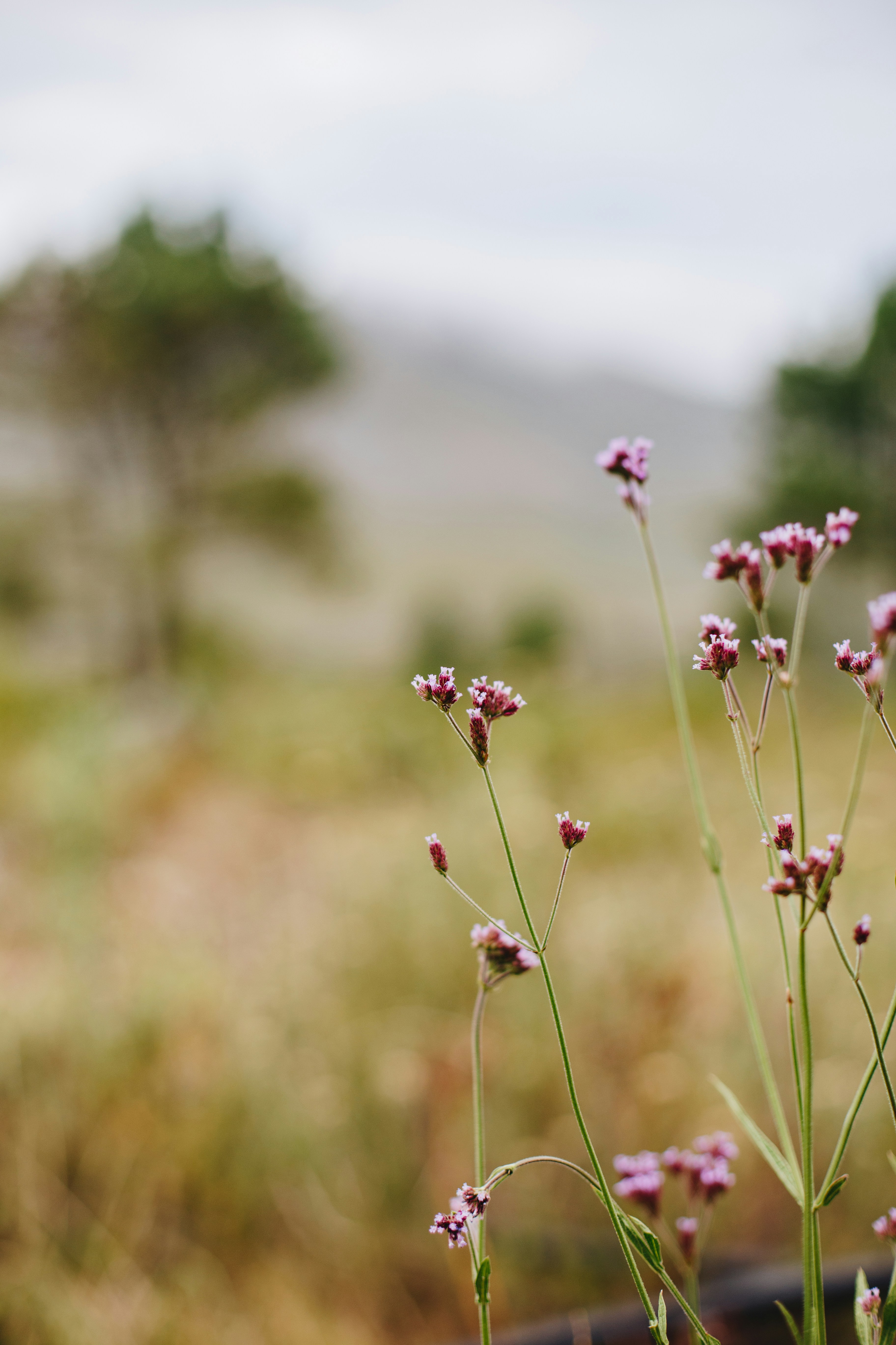 Photo by sincerelymedia