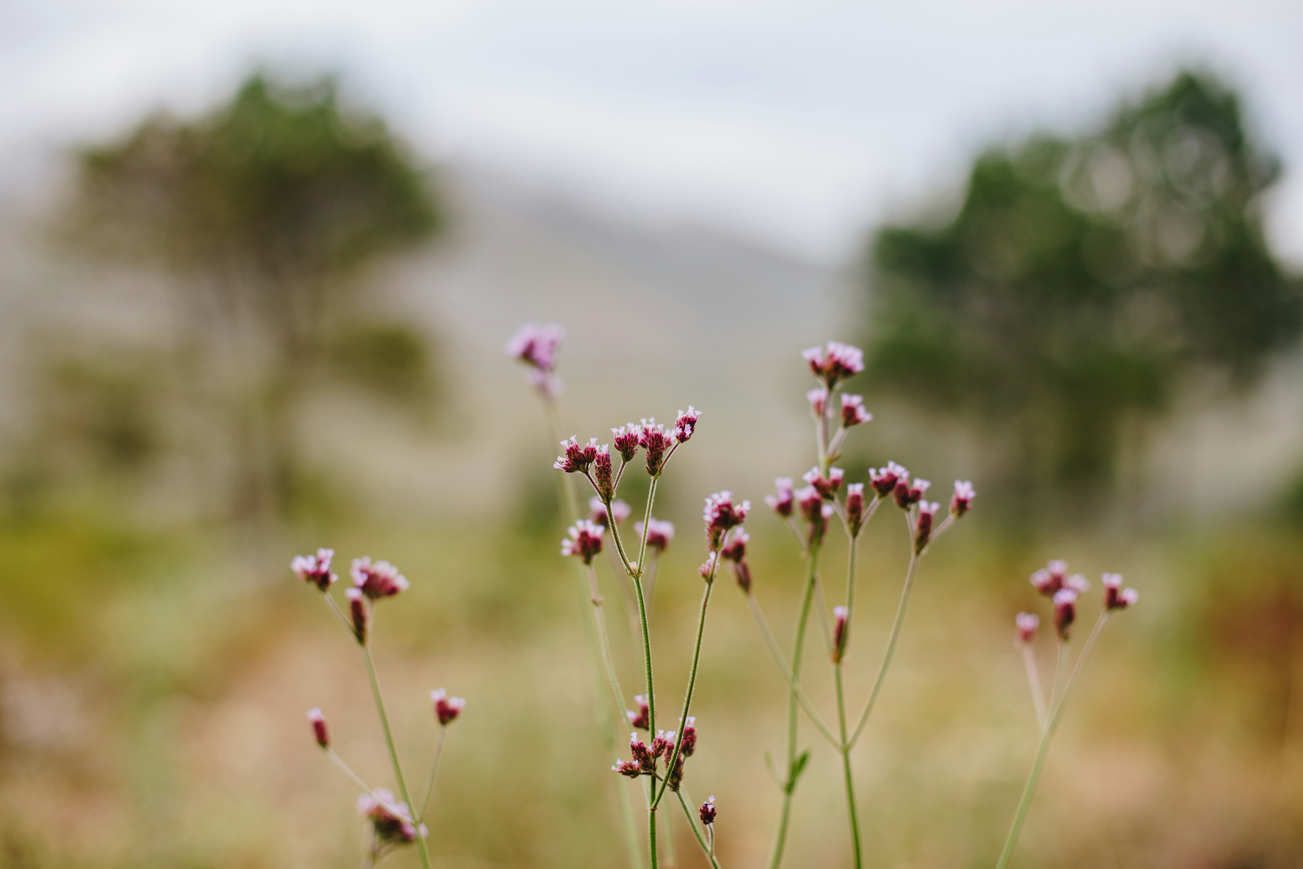 Photo by sincerelymedia