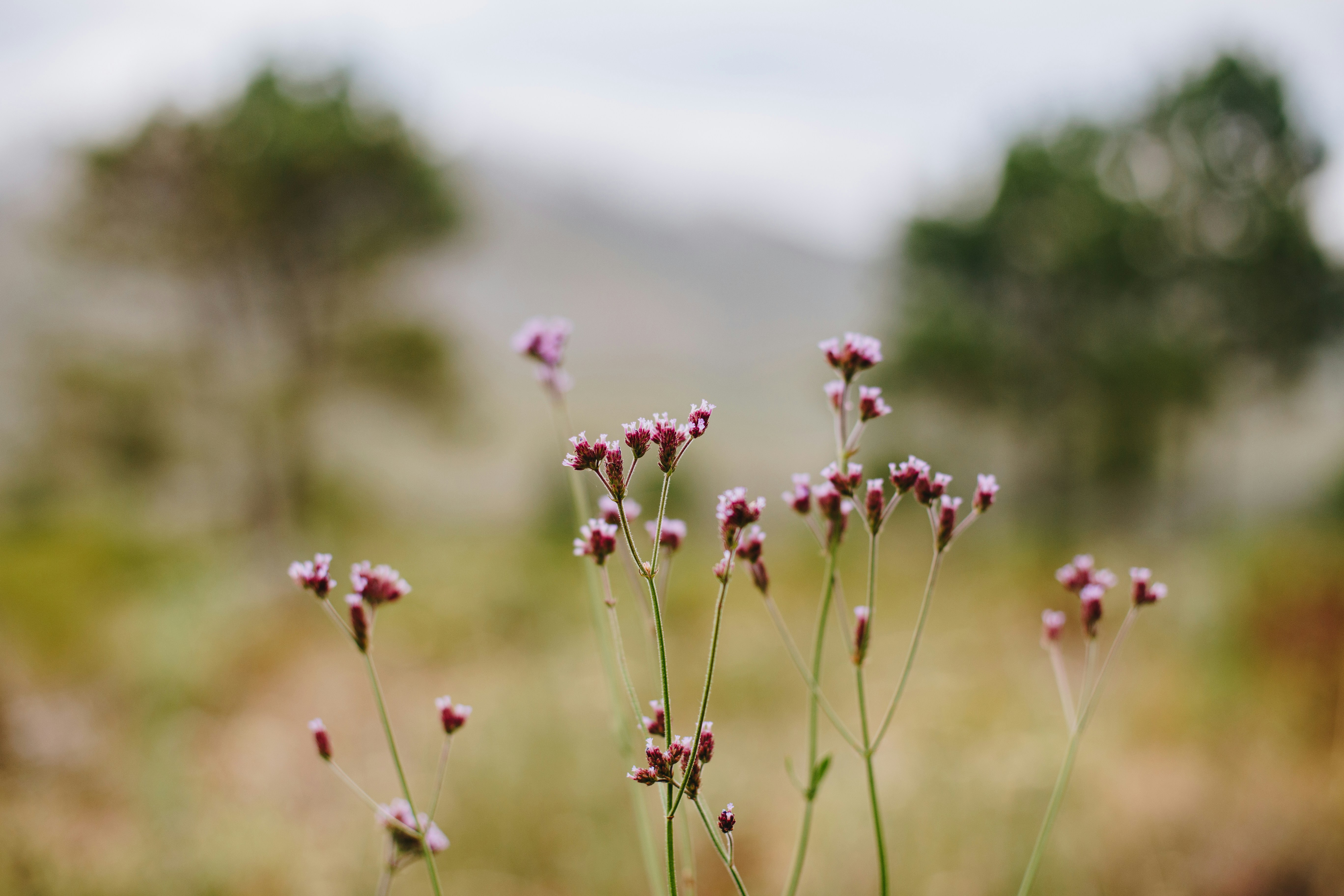 Photo by sincerelymedia