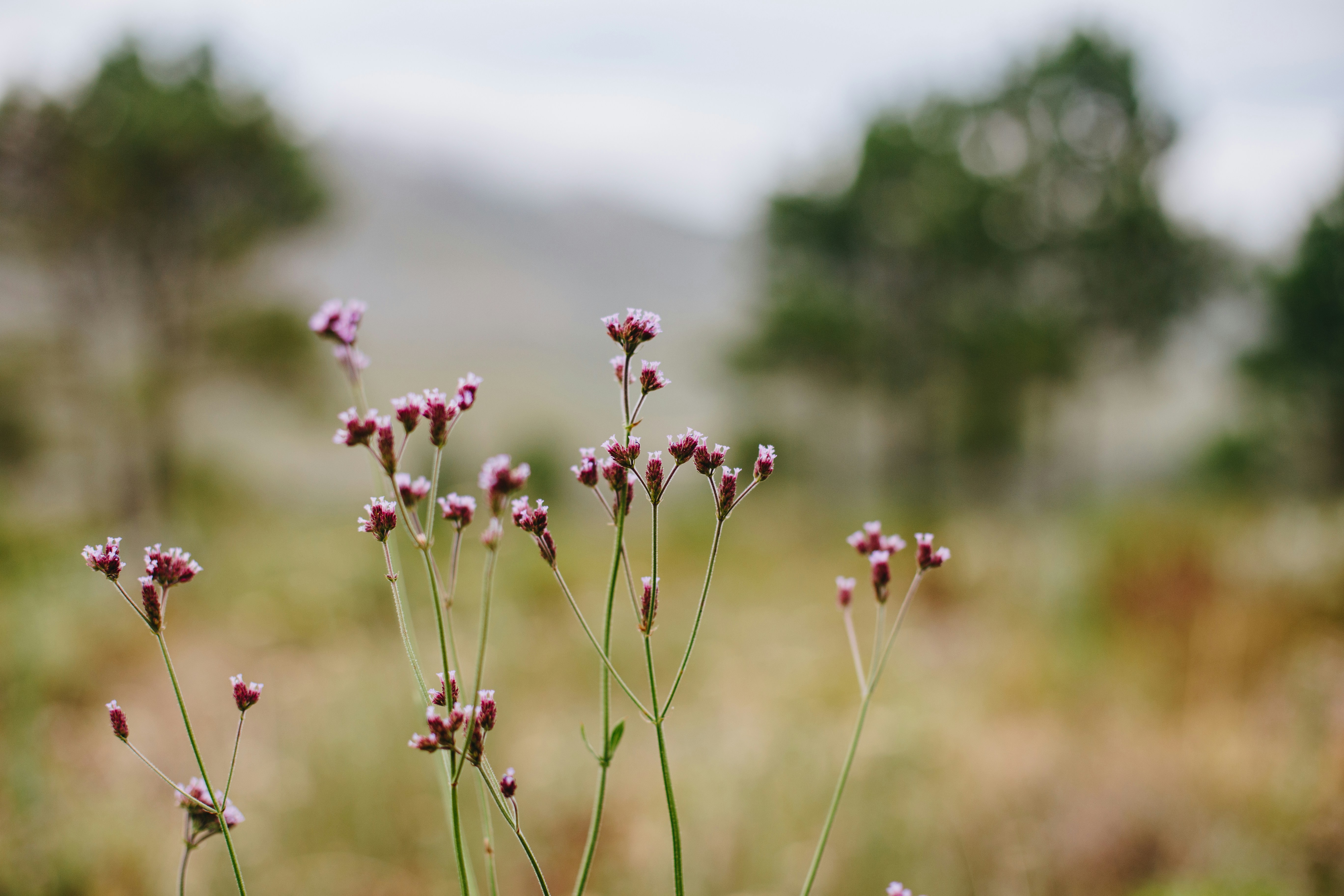 Photo by sincerelymedia