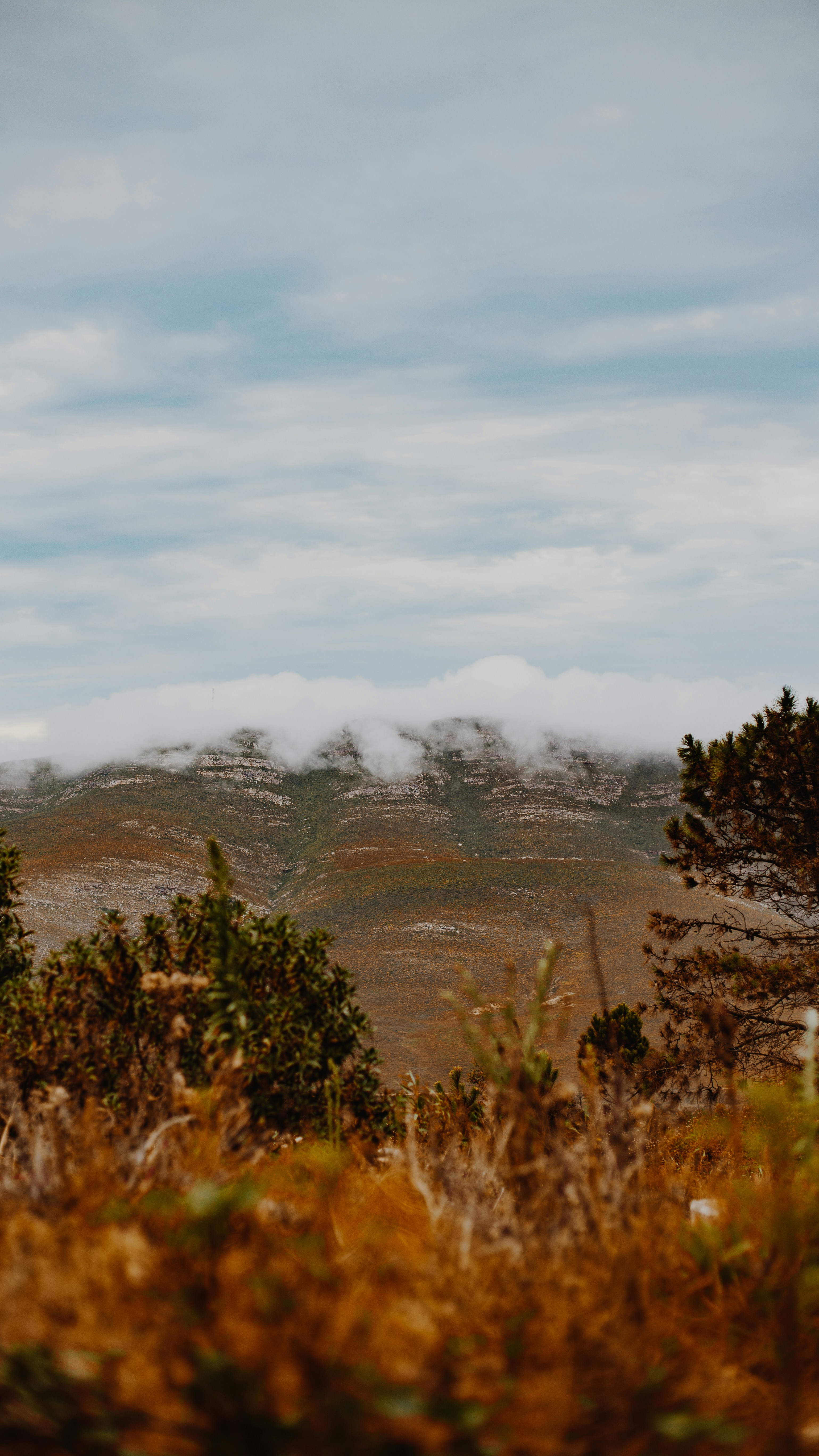 Photo by sincerelymedia