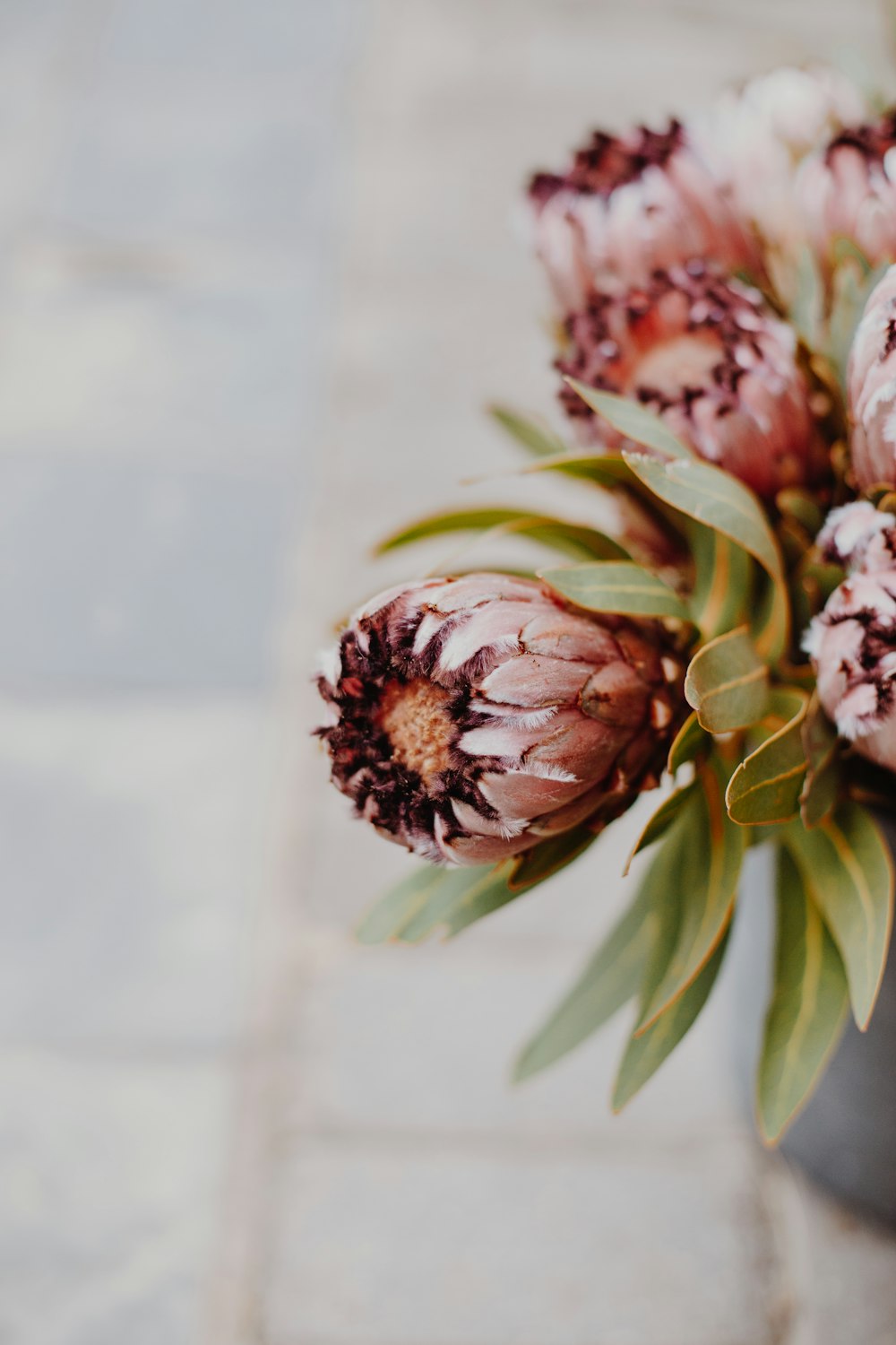 white and pink flower bouquet