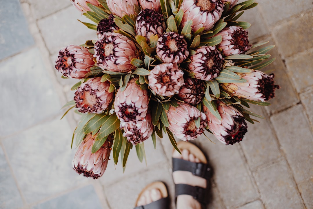 pink and white flowers on white and black striped textile