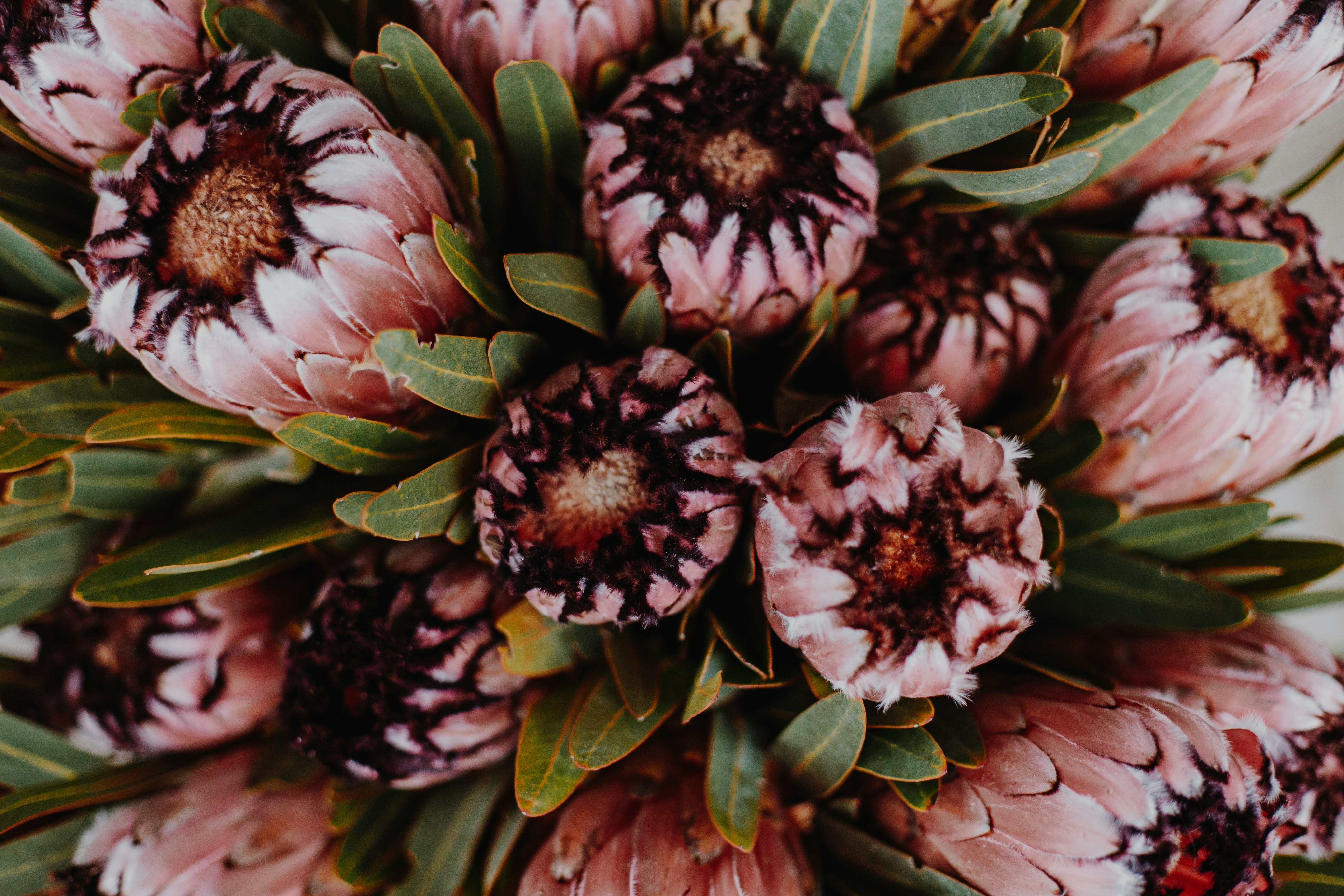 Photo by sincerelymedia