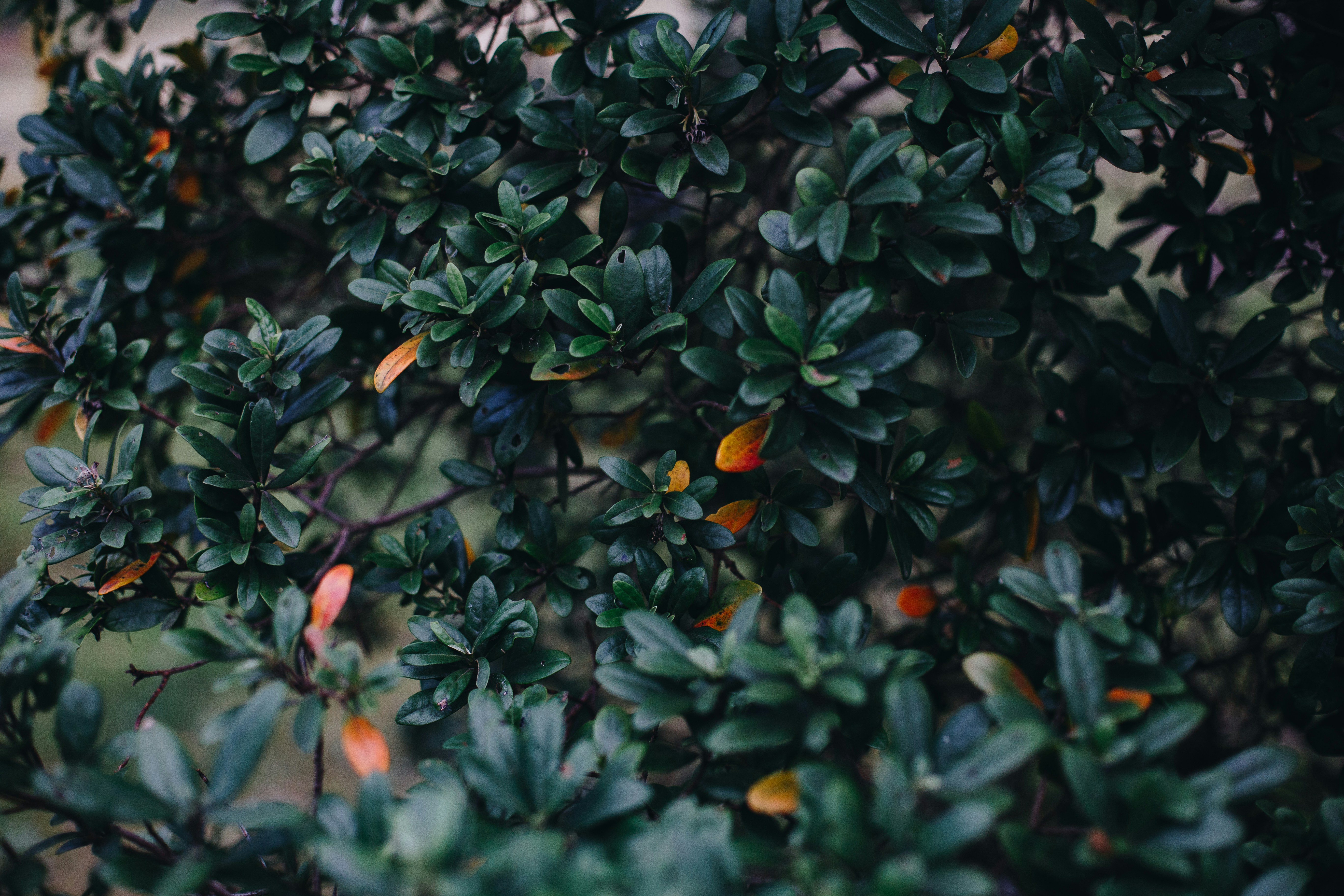 Photo by sincerelymedia