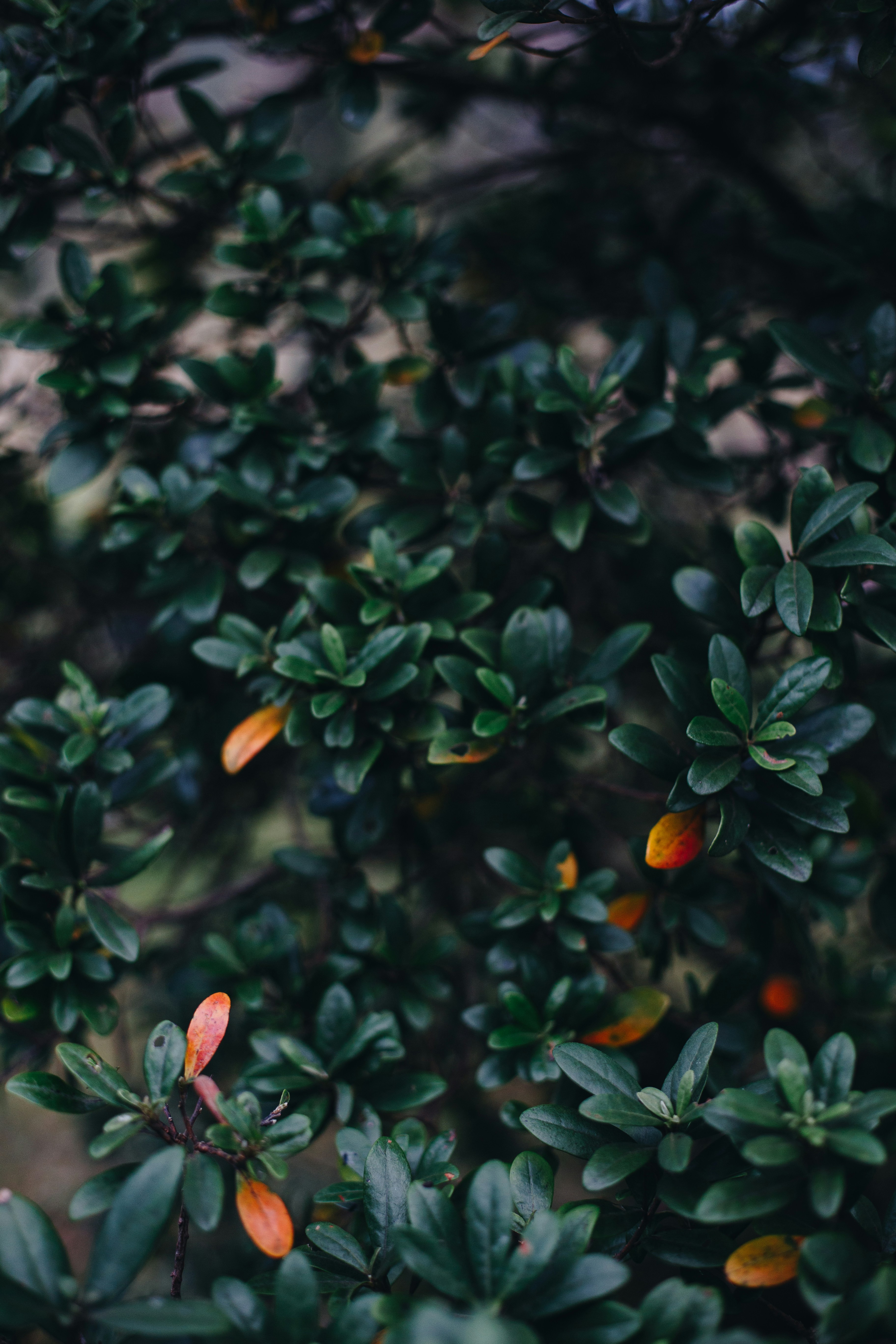 Photo by sincerelymedia