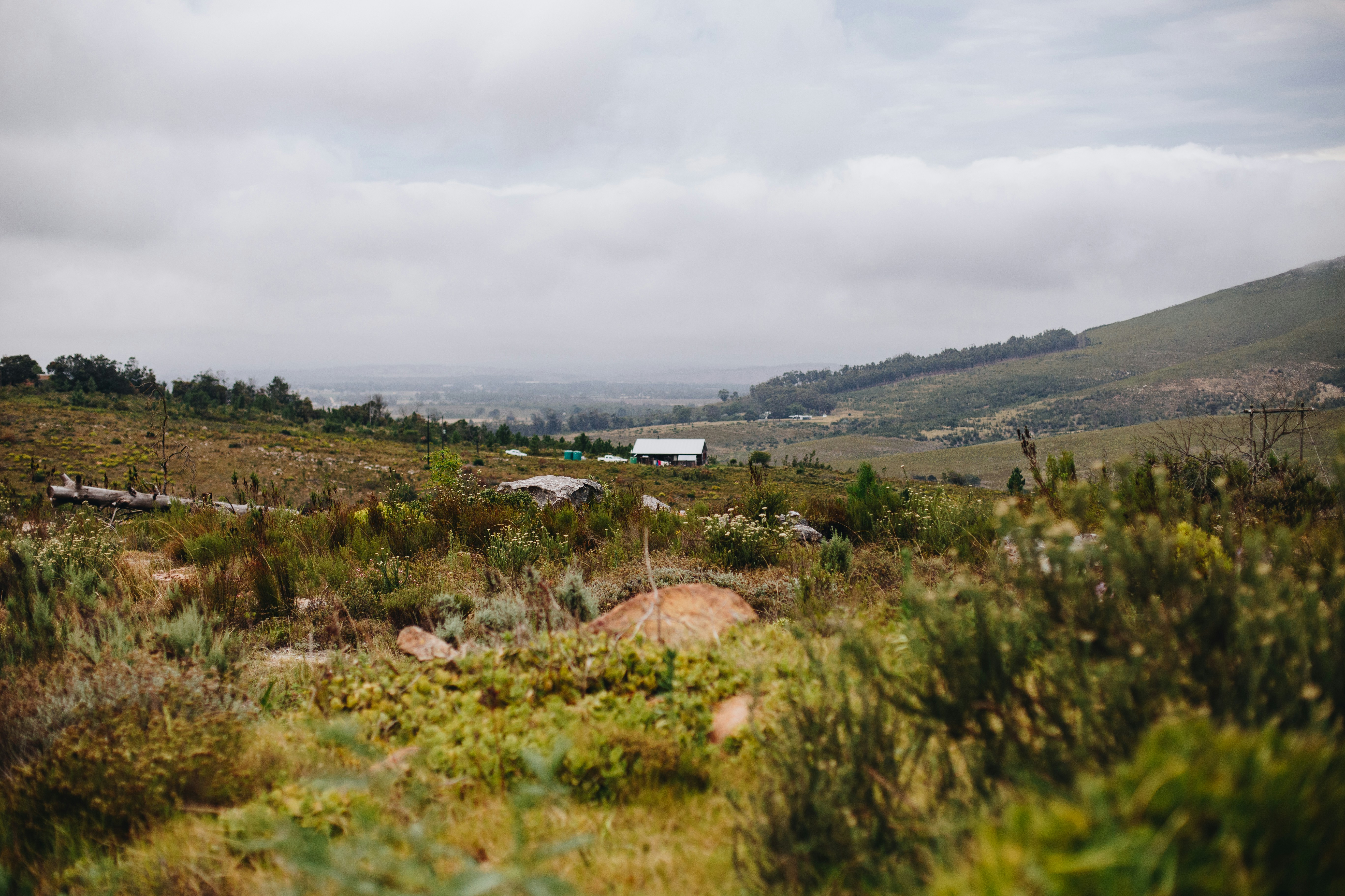 Photo by sincerelymedia