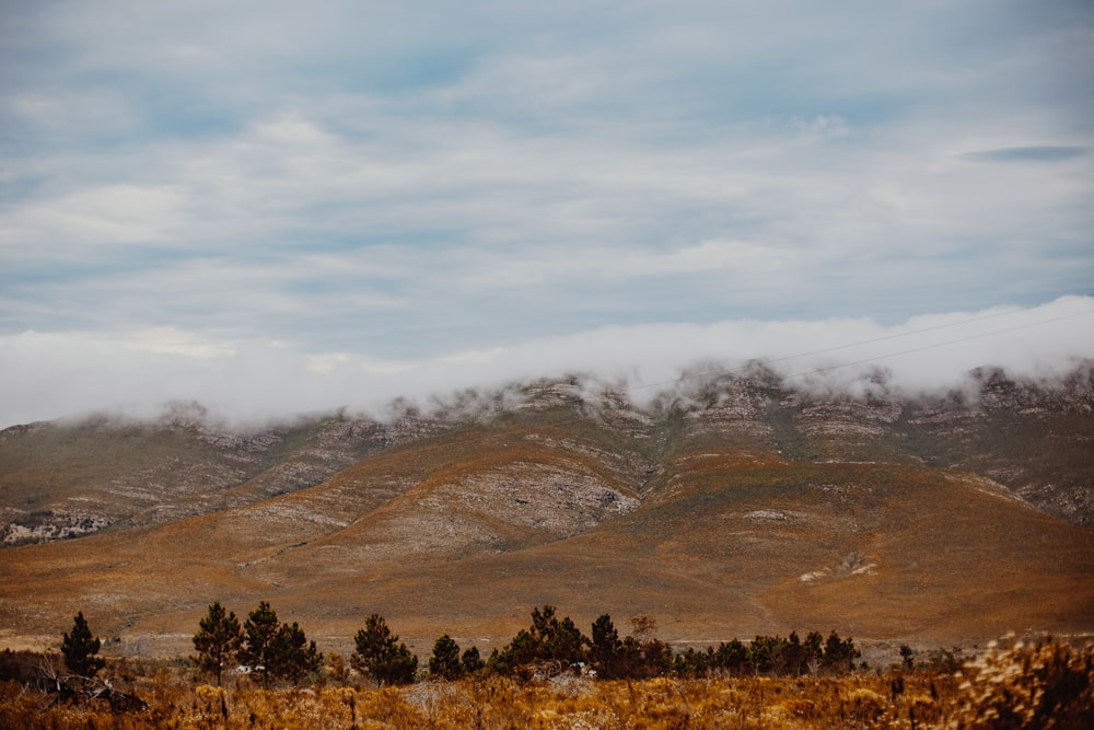 green trees near mountain under white clouds during daytime