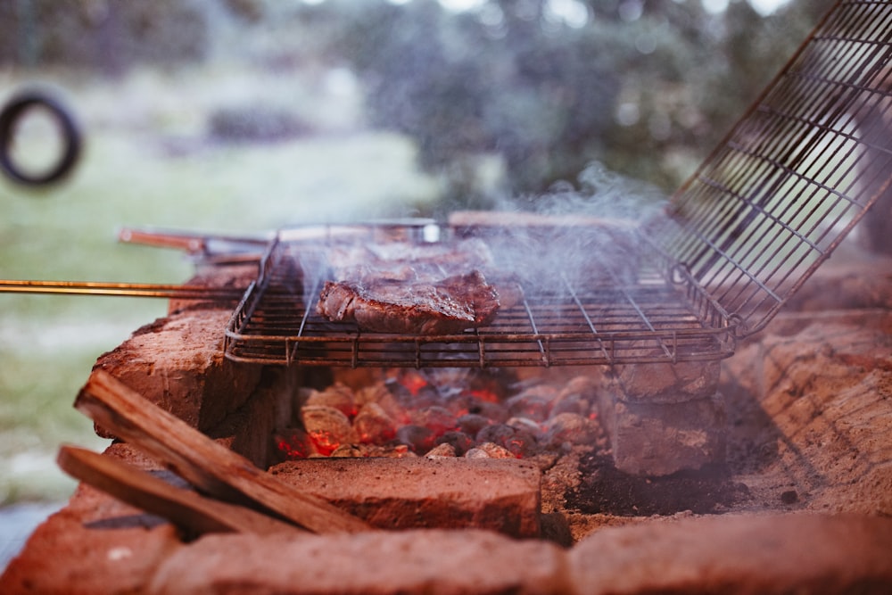 grilled meat on charcoal grill