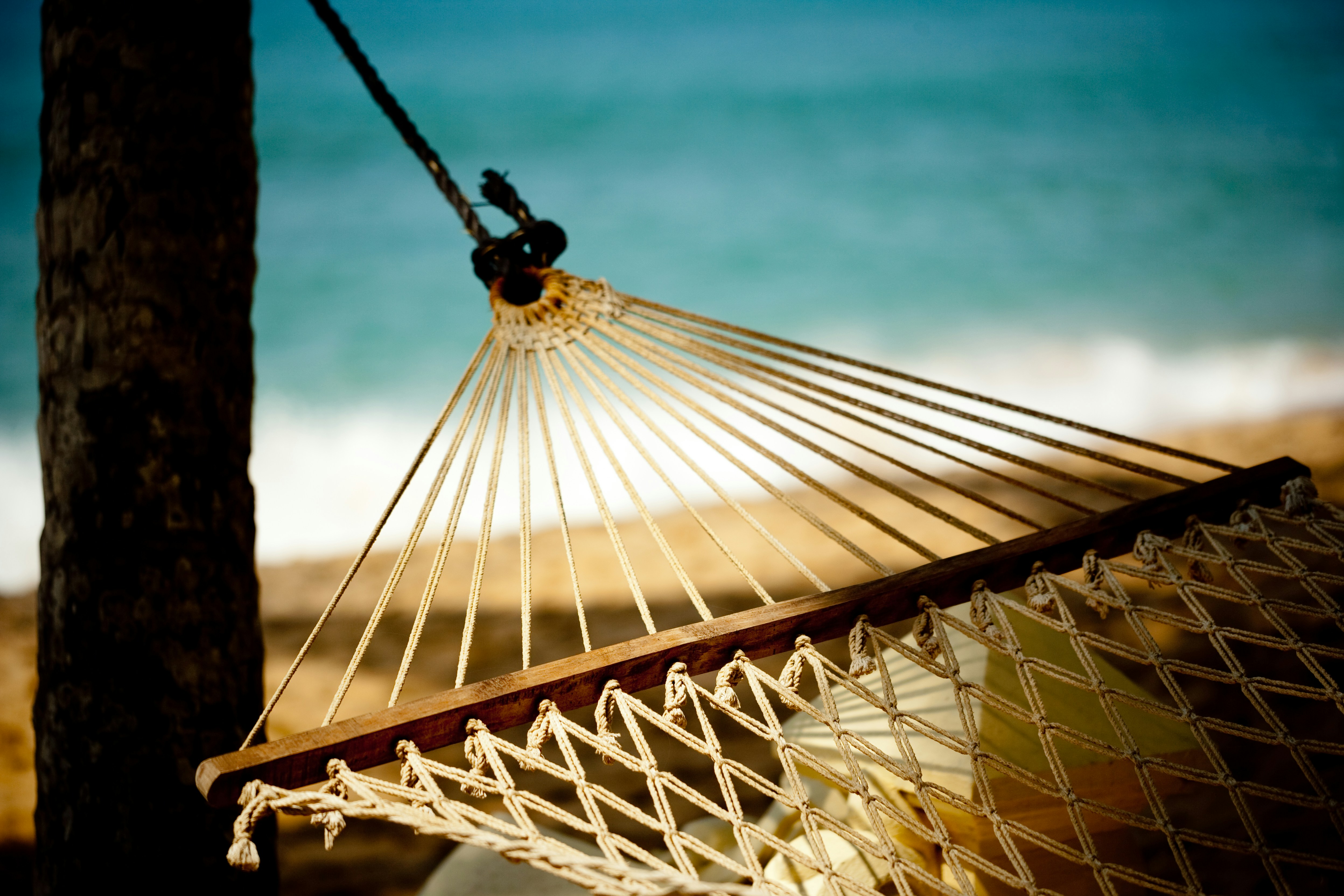 Photo by raimondklavins