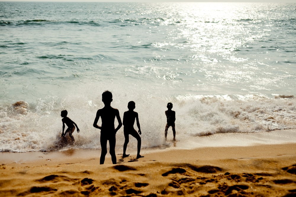 people on beach during daytime