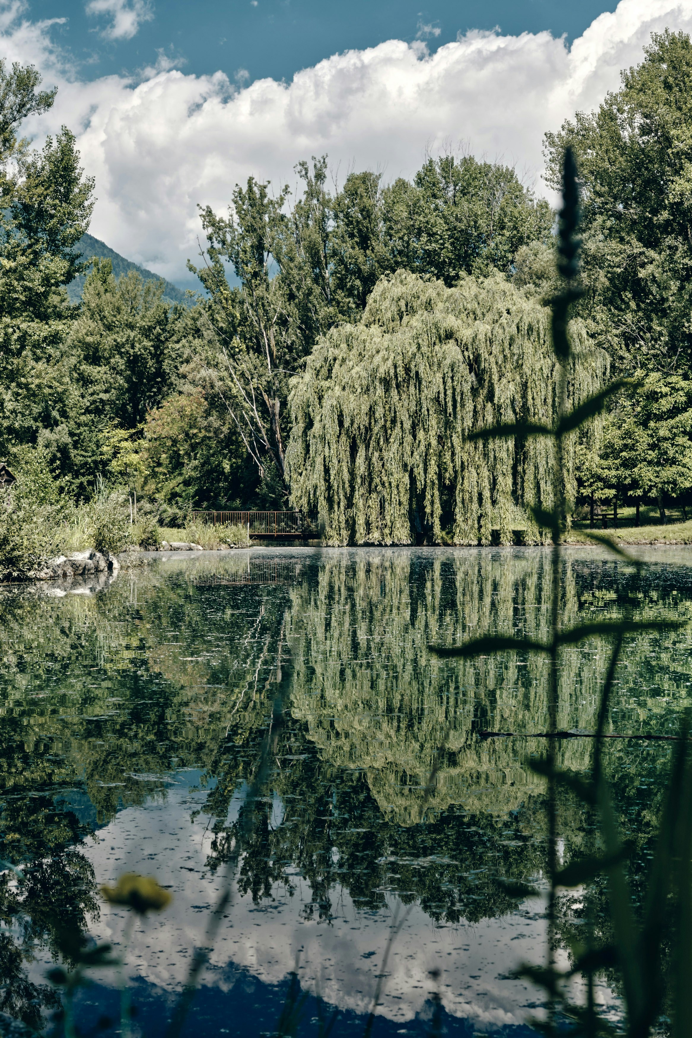 Photo by marcus_ganahl