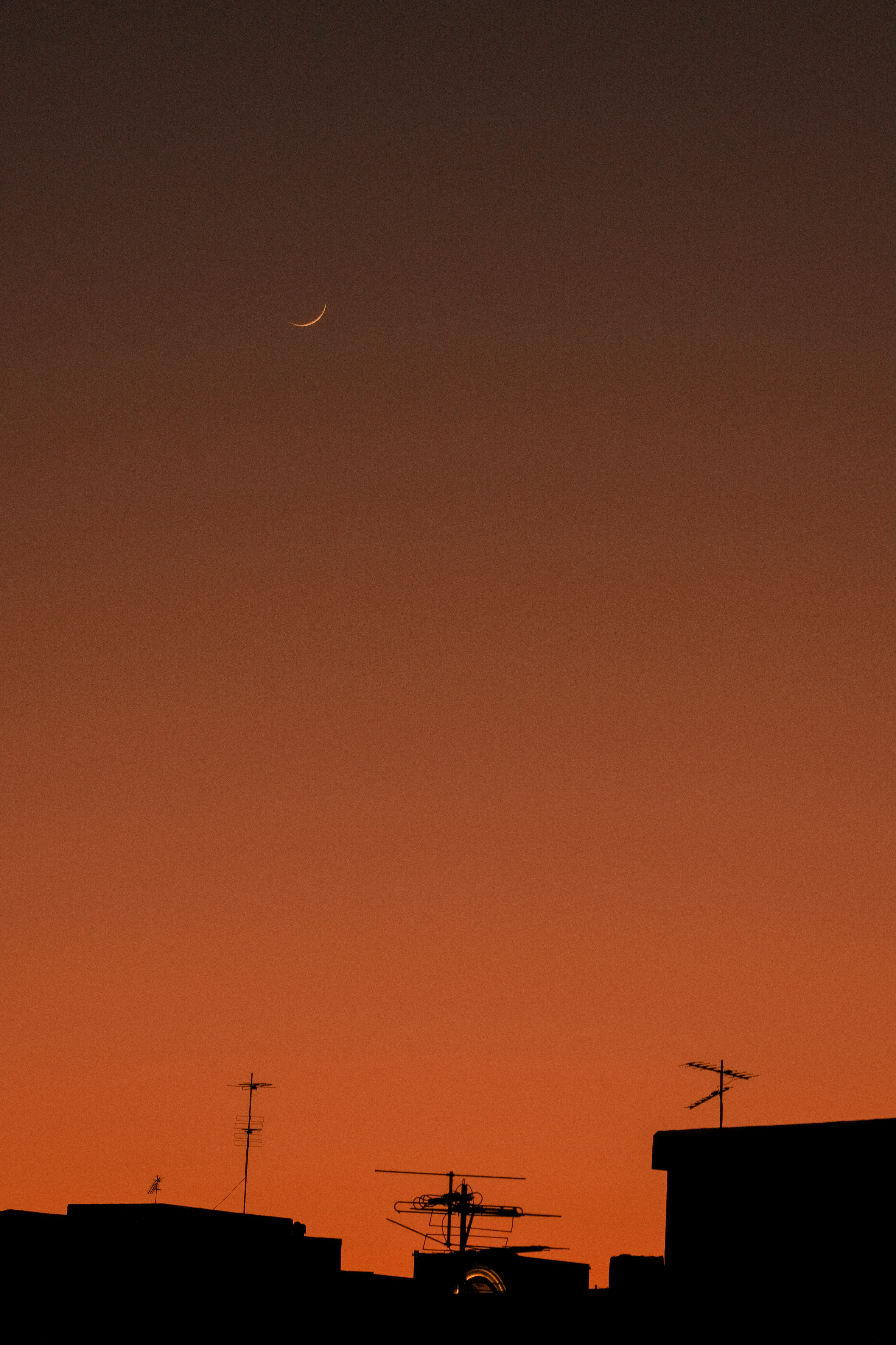 Photo by sajadnori
