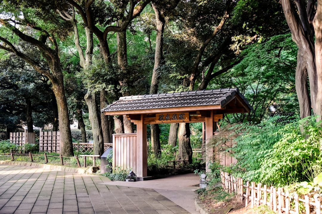 brown wooden gazebo in the middle of the forest