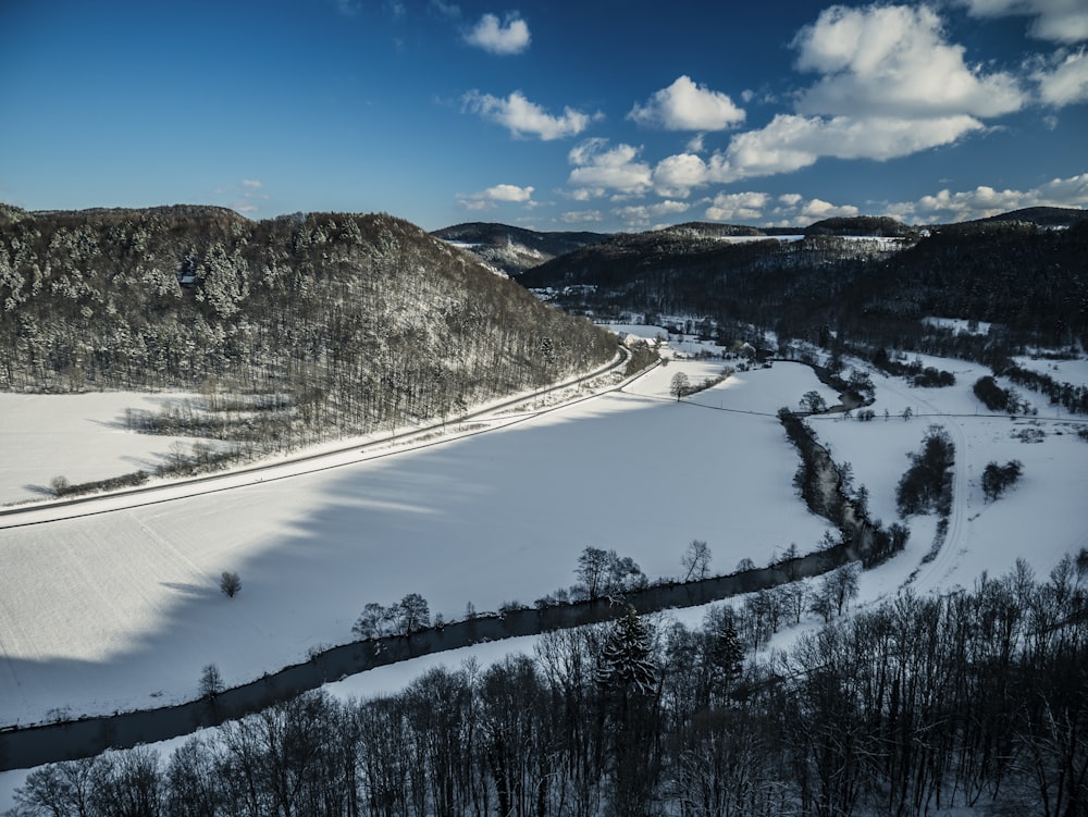 green trees on snow covered ground under blue sky during daytime