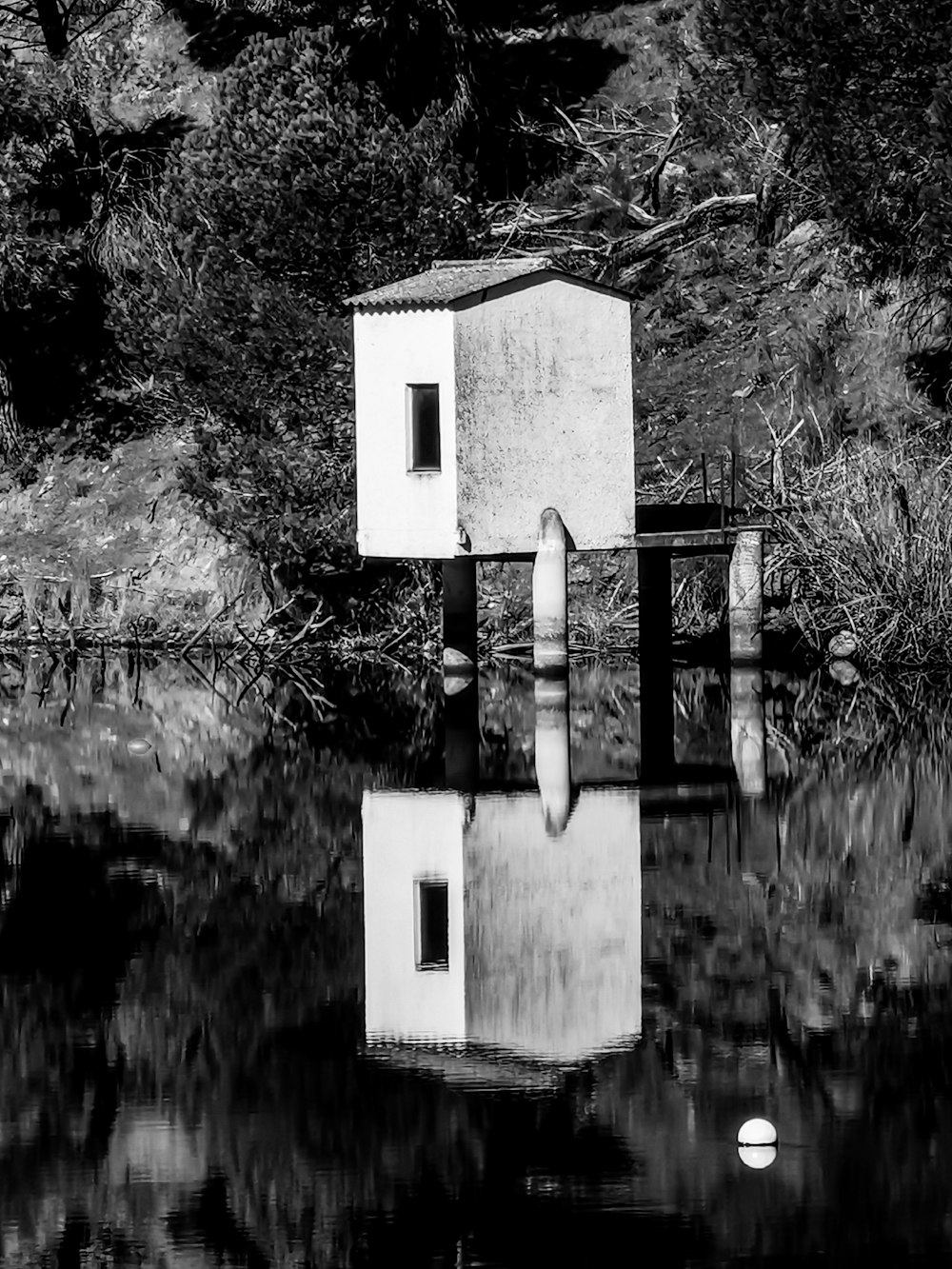 white and gray house beside river