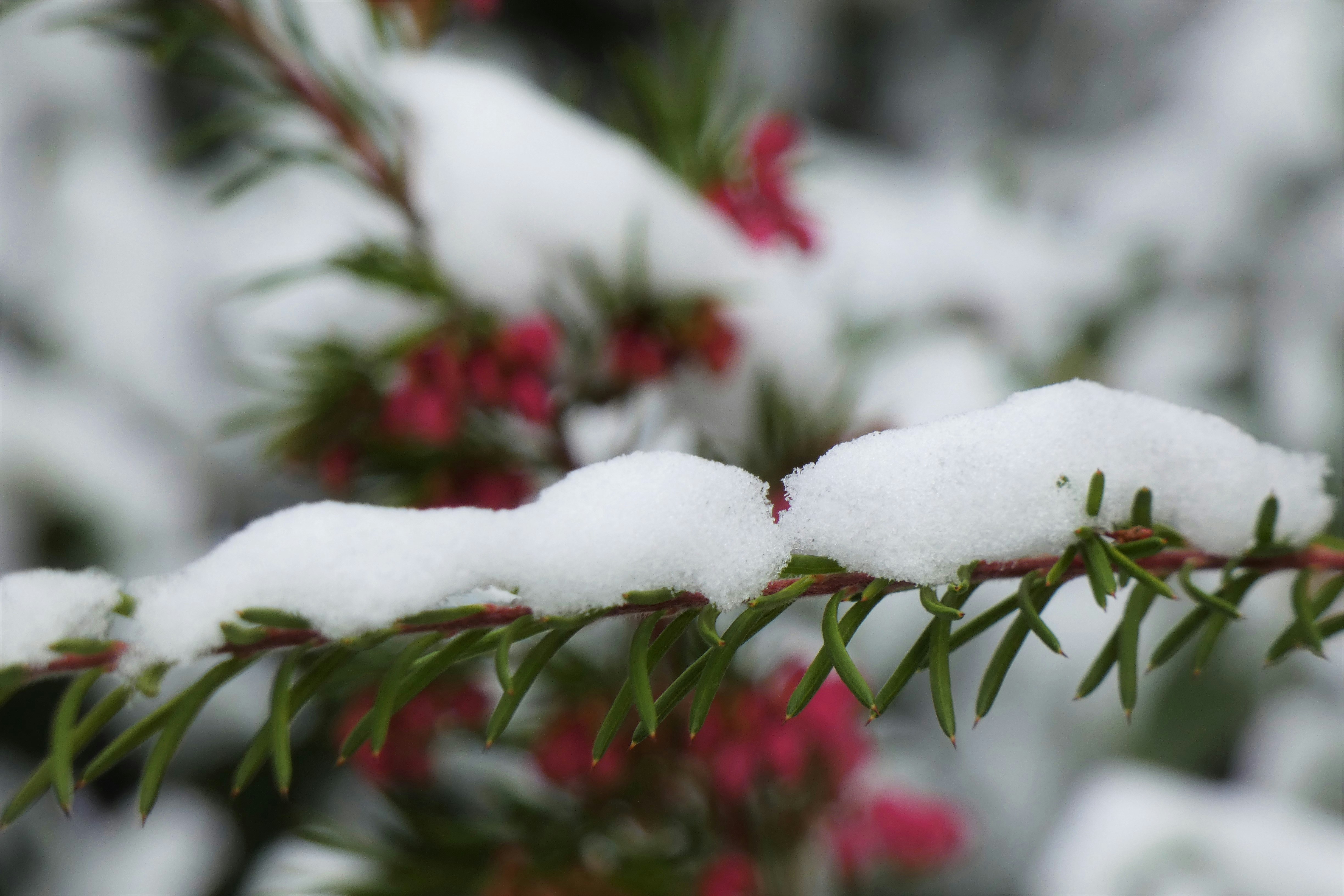 Photo by doripictures