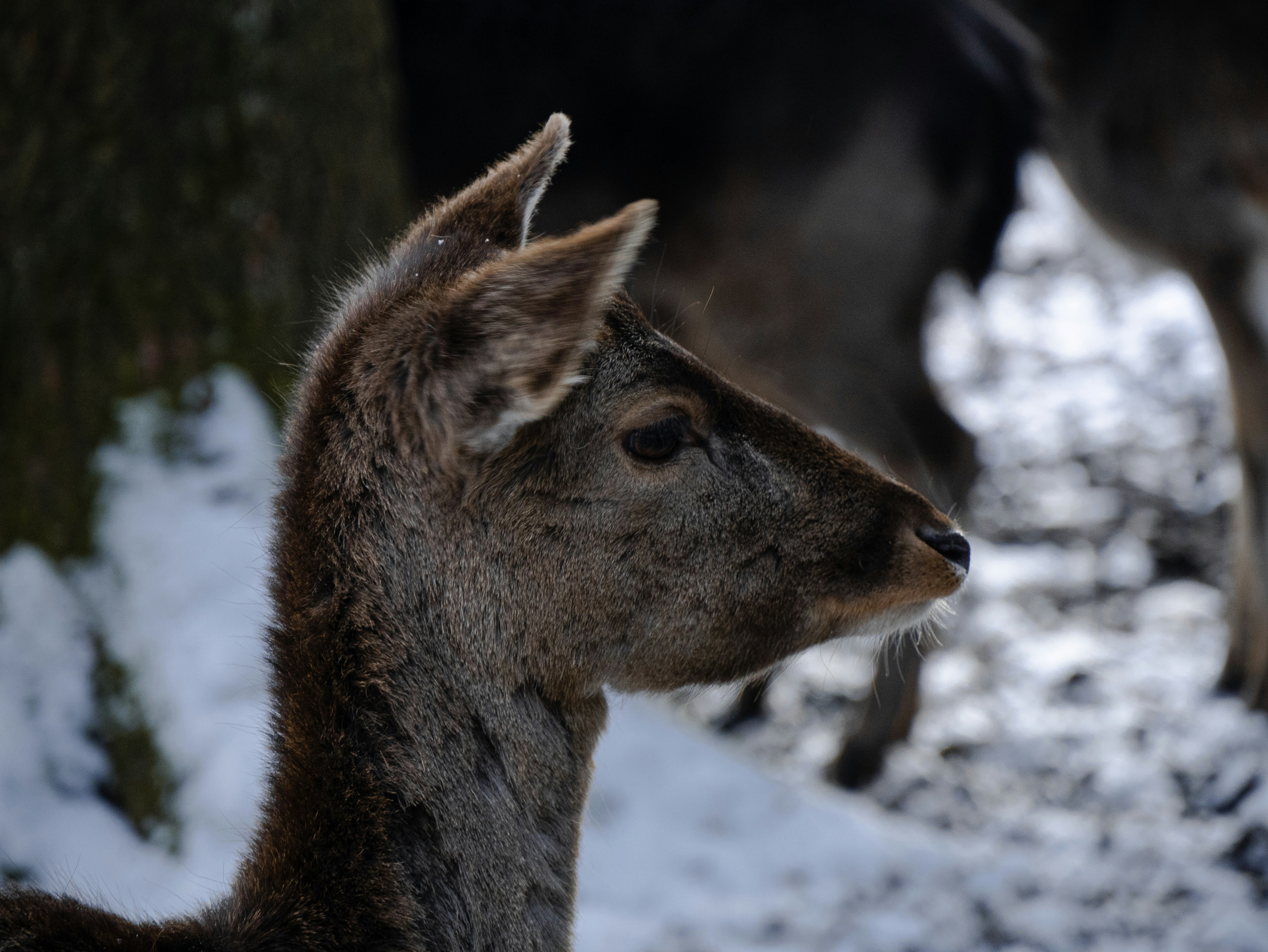 Photo by leonrohrberg