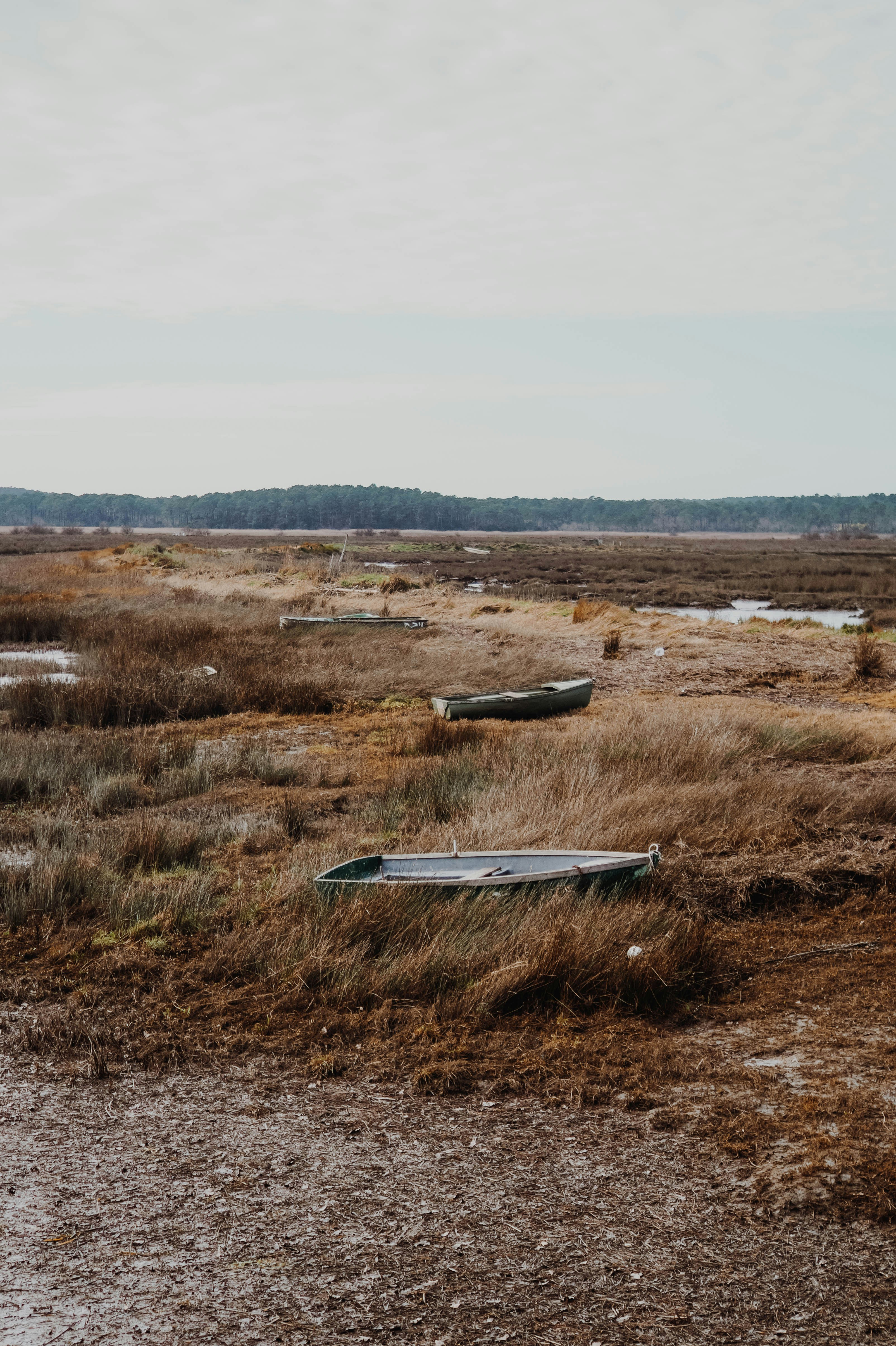 white and blue boat on brown grass field during daytime