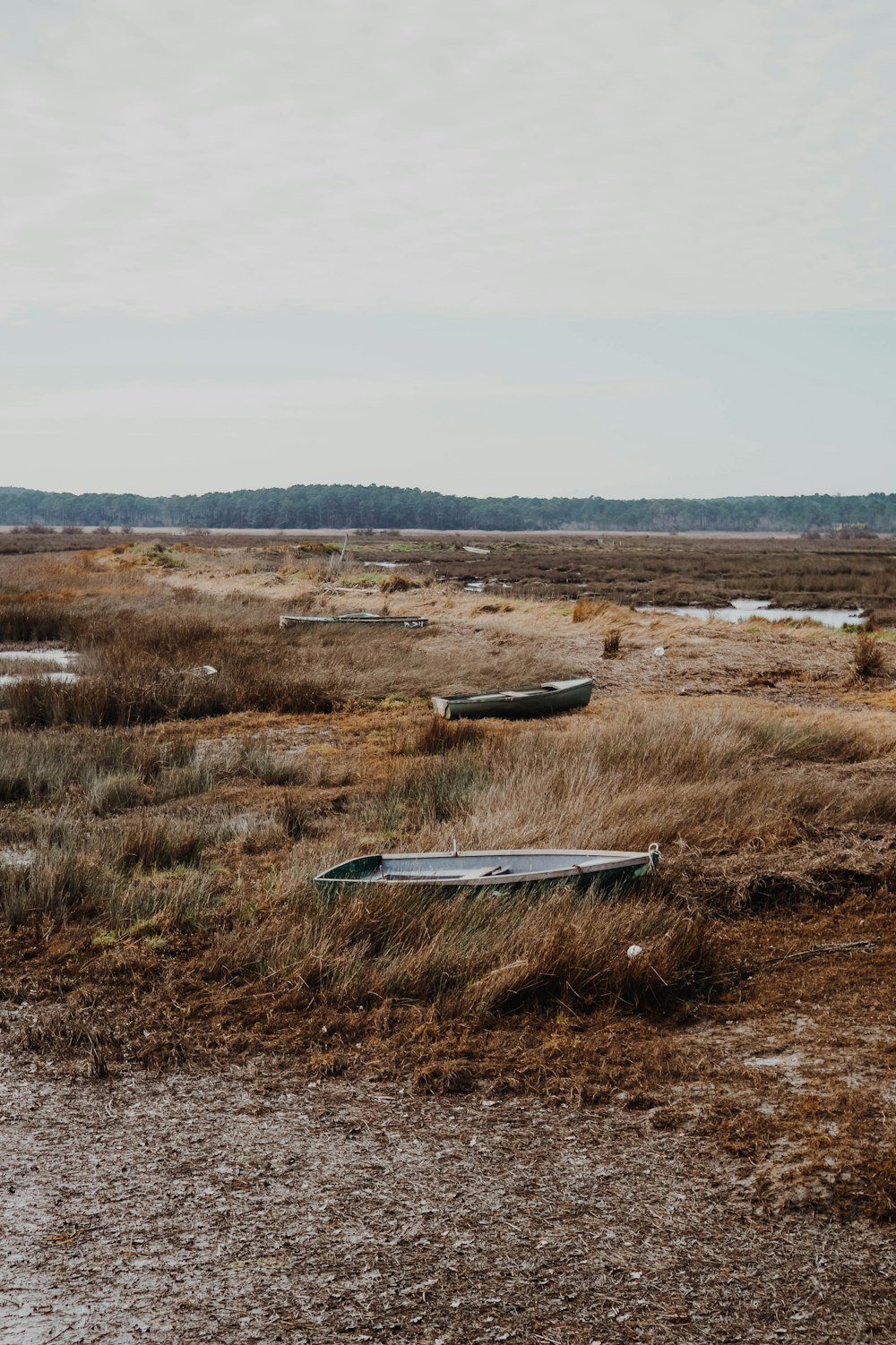 white and blue boat on brown grass field during daytime