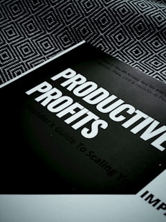A book titled 'Productive Profits' is placed on a surface with a geometric patterned background. The cover is mostly dark with bold, white text capturing the main title. Additional text is visible but less prominent, suggesting a focus on scaling or business strategies.
