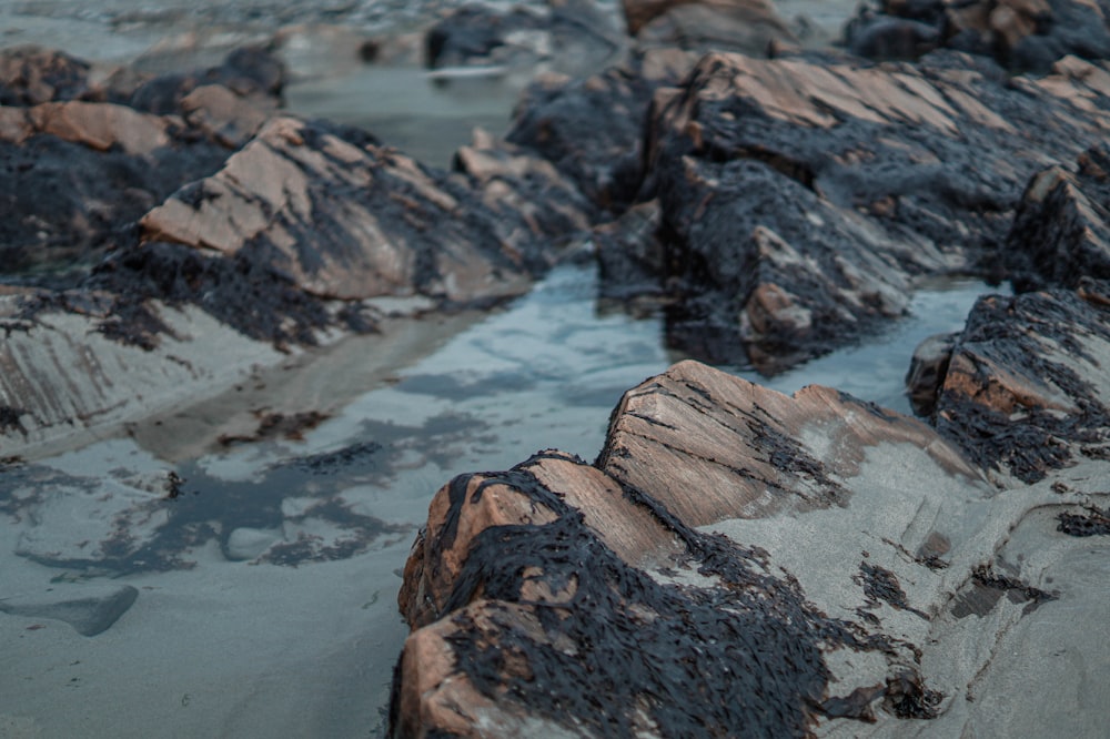 brown and gray rock formation near body of water during daytime