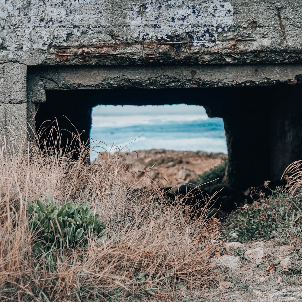 parede de concreto cinza perto do corpo de água durante o dia