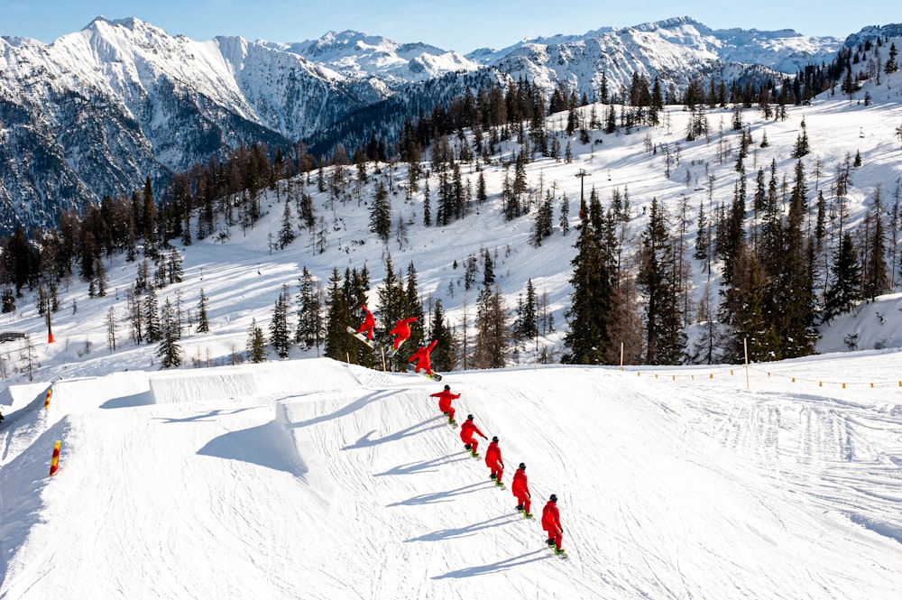 pins verts sur une montagne enneigée pendant la journée